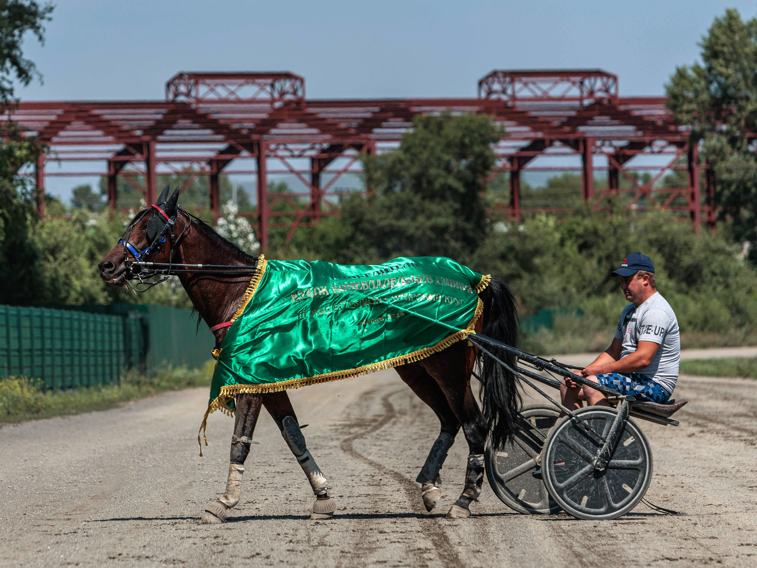 Зарисовки Абаканский ипподром 2025. Конный фотограф в Красноярске — Любовь Похабова