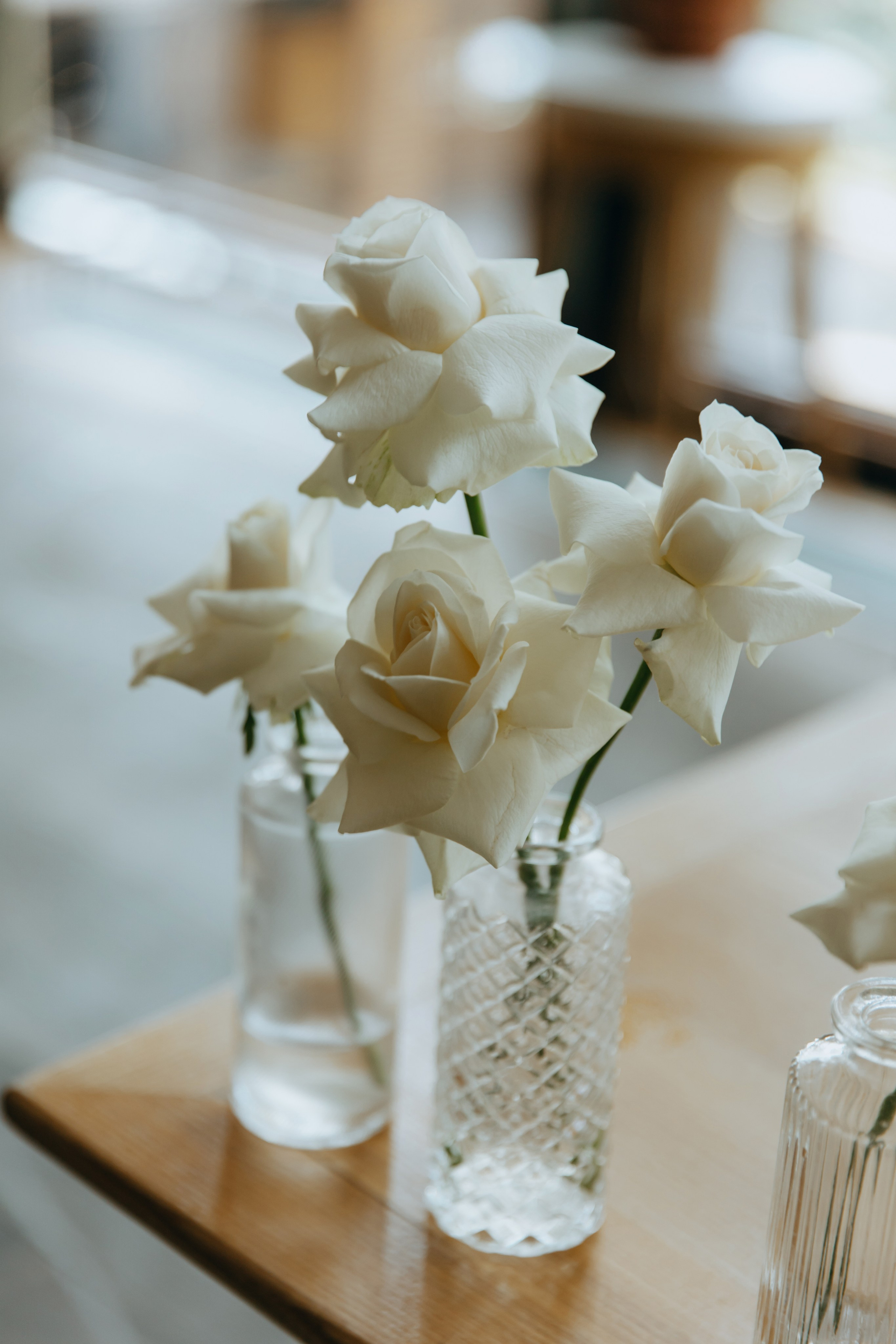 22.08.25. Фотограф в Белгороде Анастасия Веленгурская