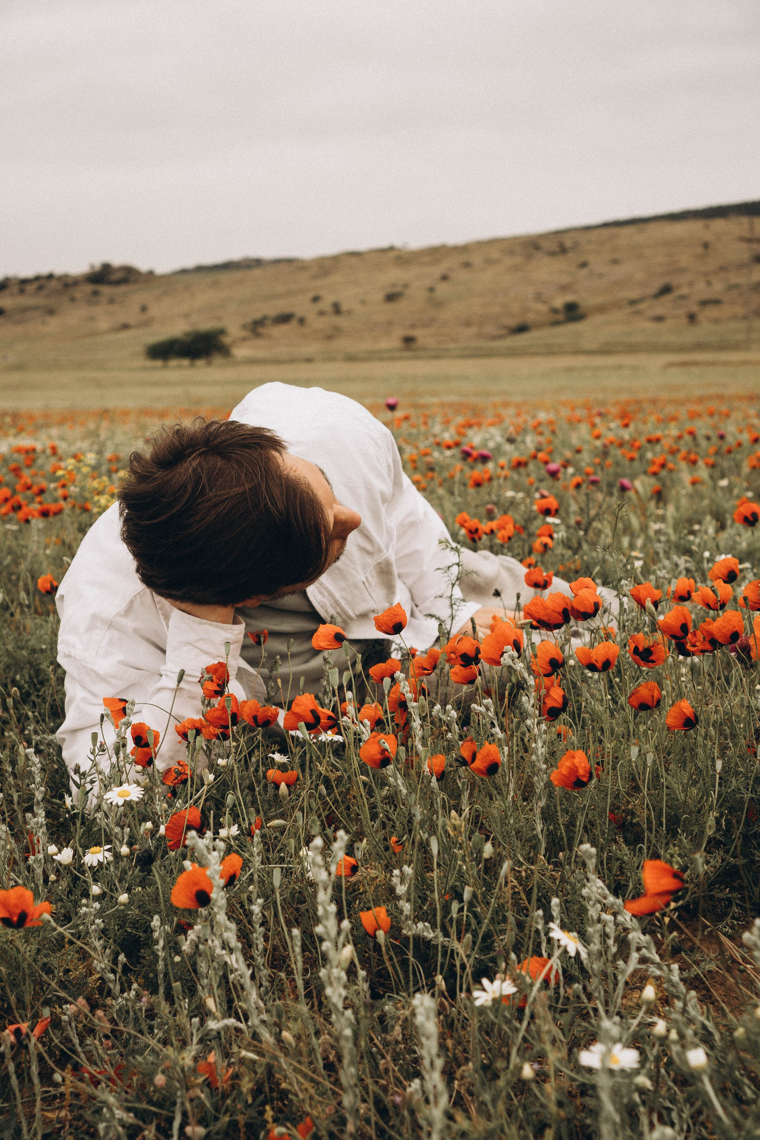 Маки. Профессиональный фотограф, Санкт-Петербург — Виктория Богомолова