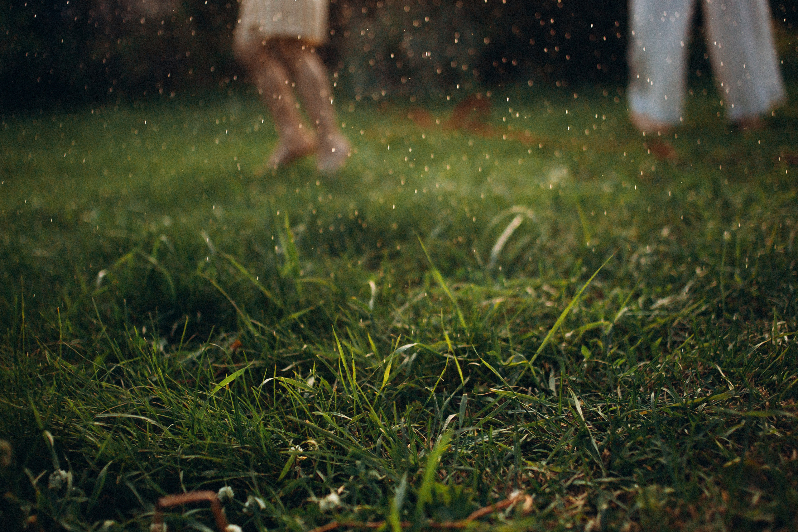 Семейная съемка. Близняшки. Фотограф в Челябинске Ополихина Анна