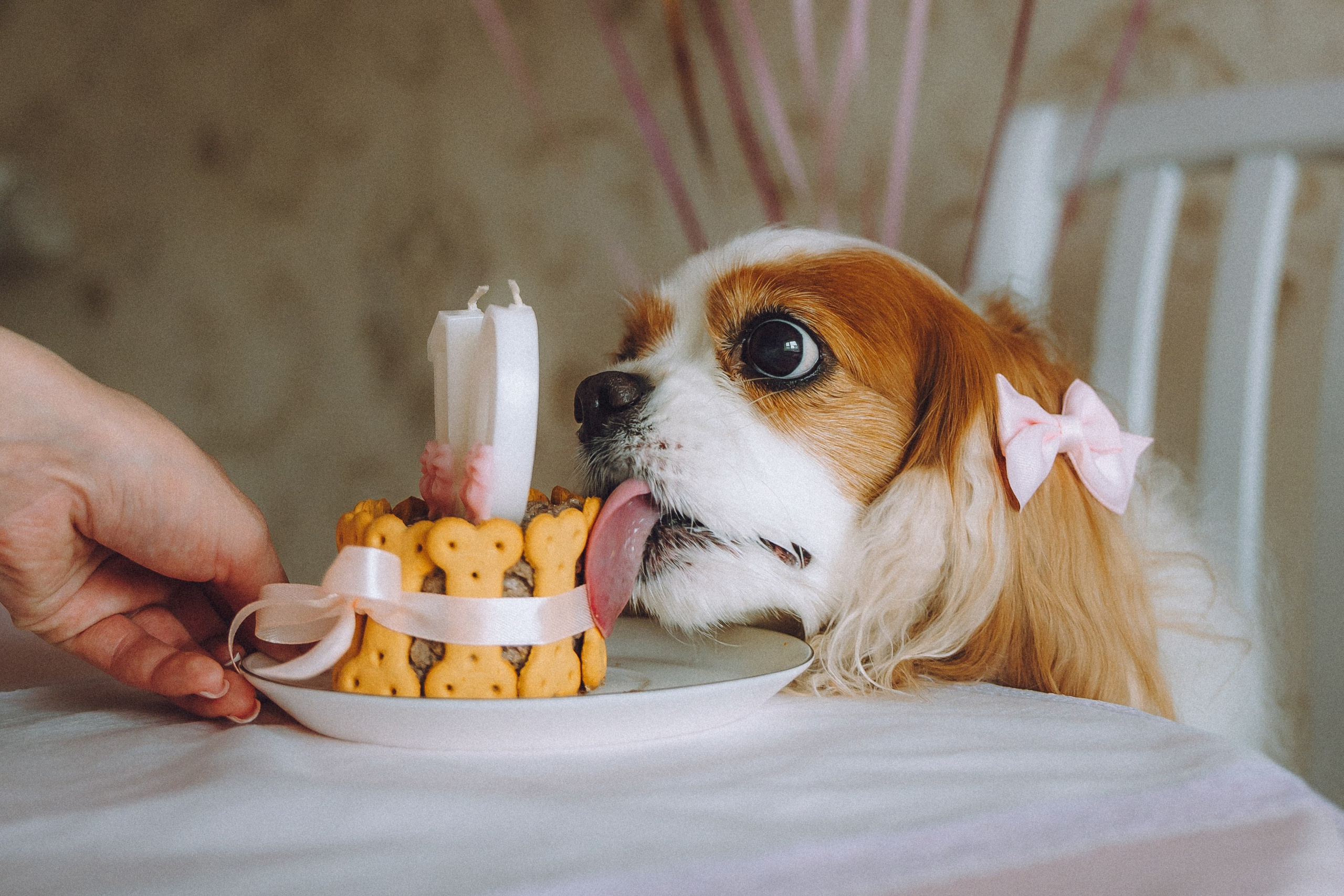 Наташа и Вики