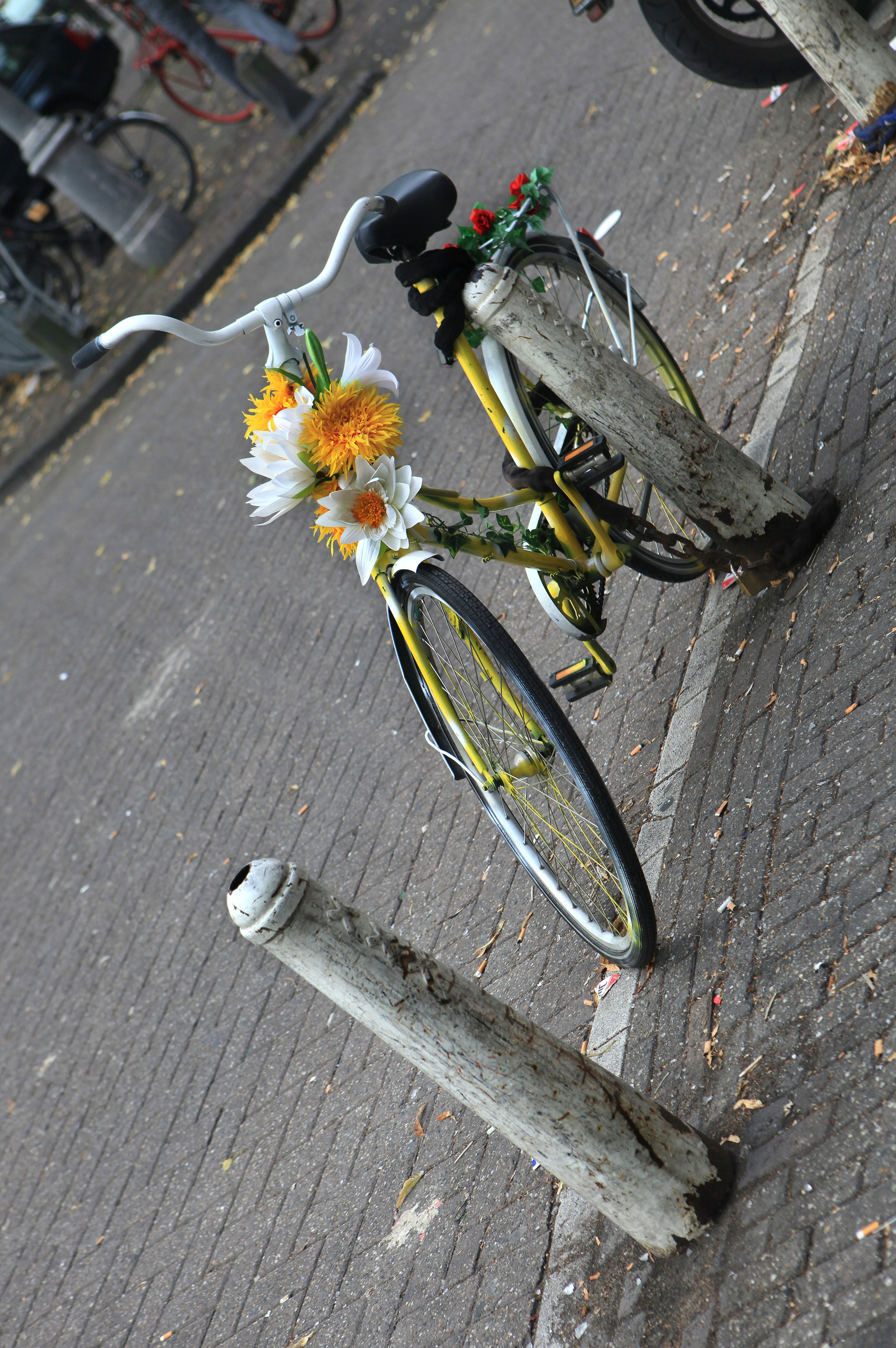 Амстердам. Фотография, ретушь, сканирование, восстановление старых фото, интерьерная съёмка, студия. Данилов Александр, Москва