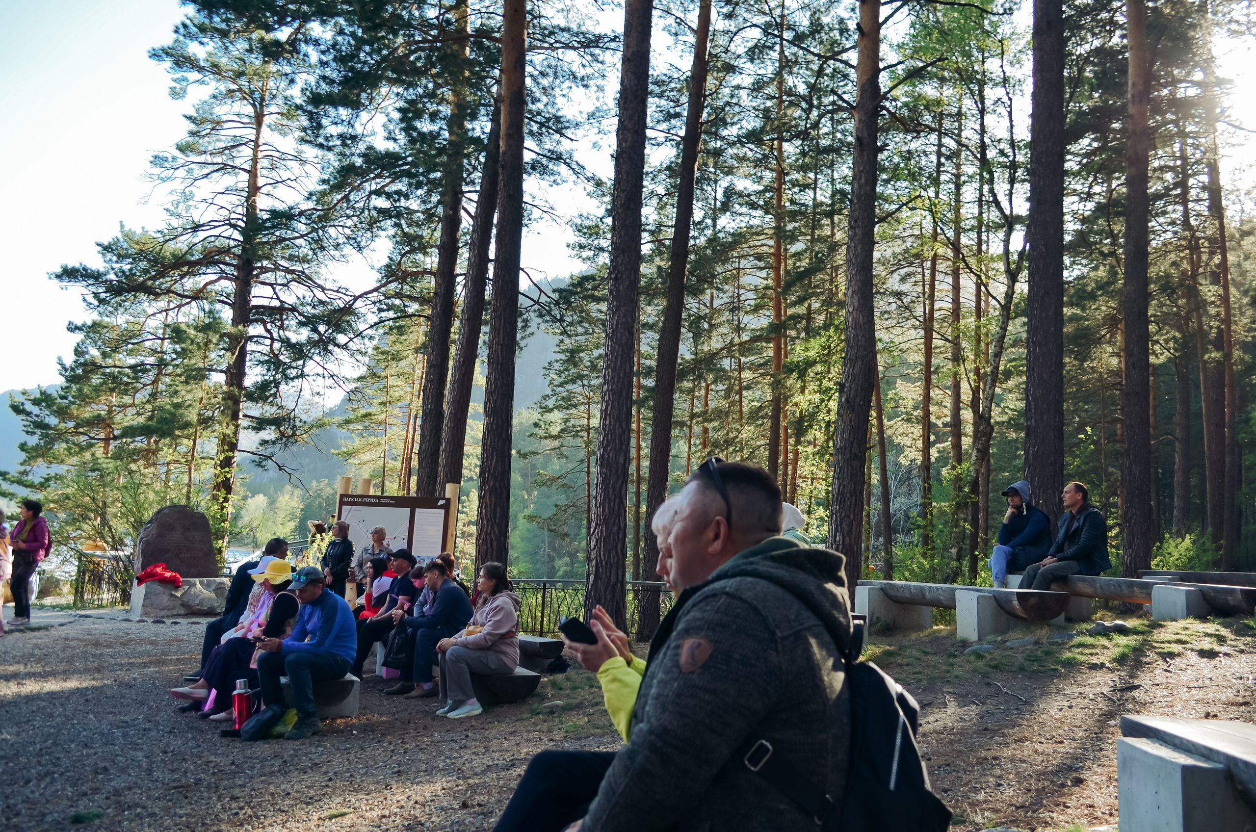 Фестиваль «Цветение Маральника на Алтае 2025». Фоторепортаж. Денисова Аля — фотограф для парных съемок и индивидуальных историй в Барнауле
