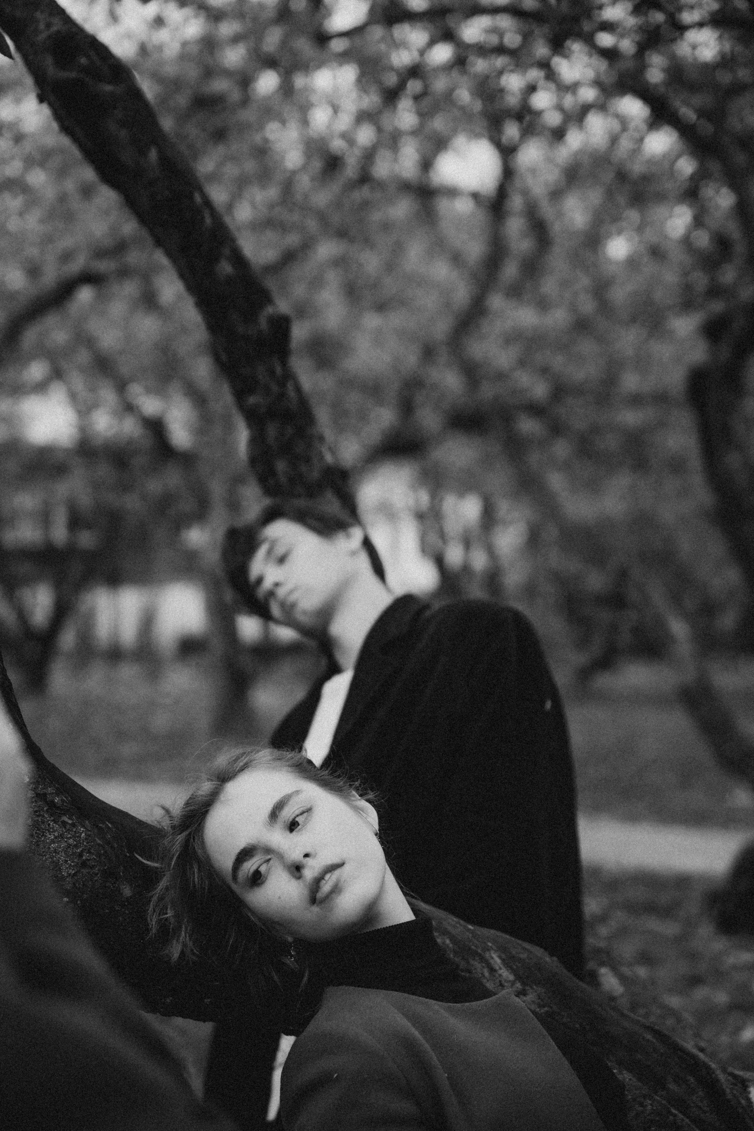 Галки, ветки и любовь. Фотограф Москва Селюкова Юлия