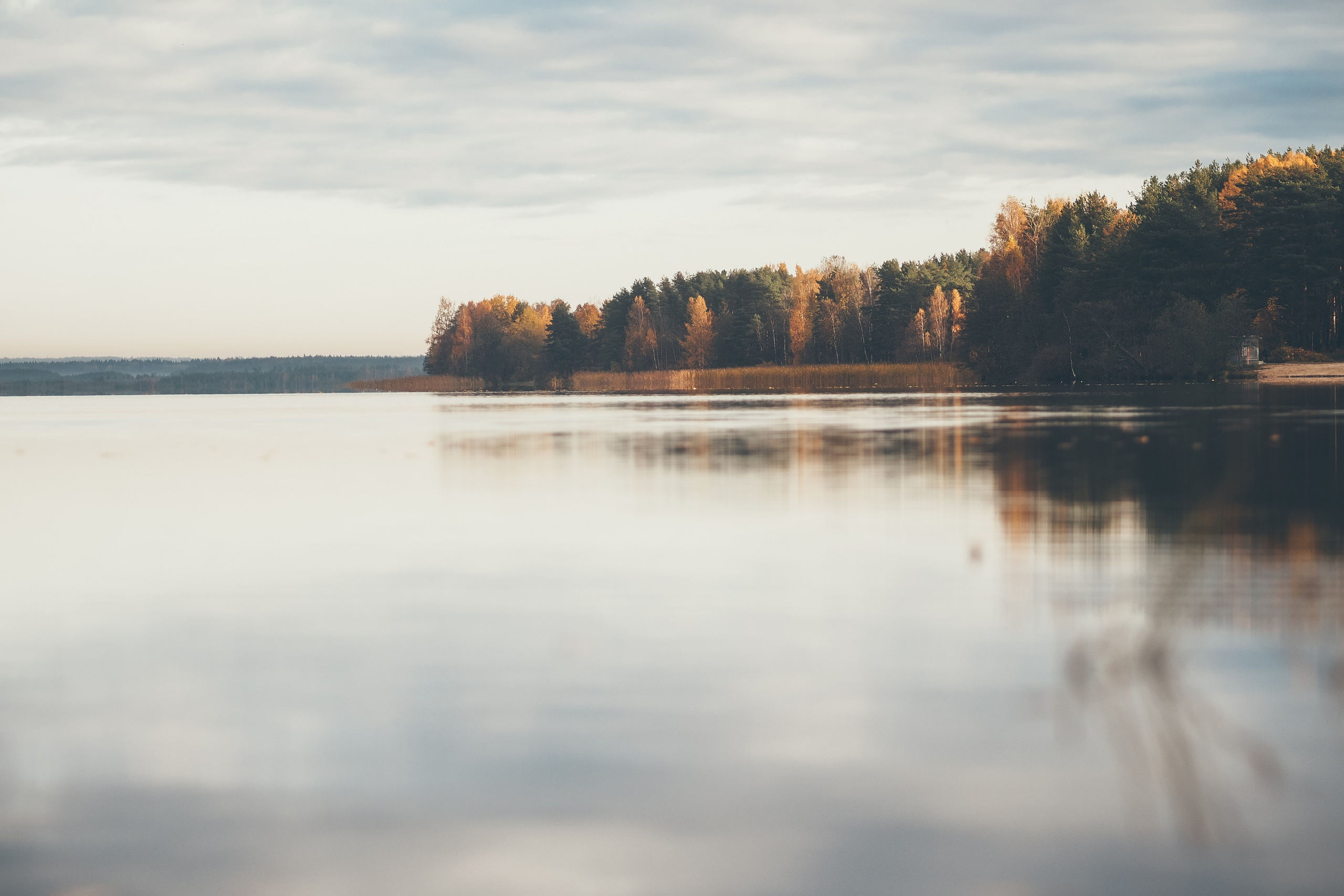 Сестрорецк. Свадебный фотограф Копков Геннадий
