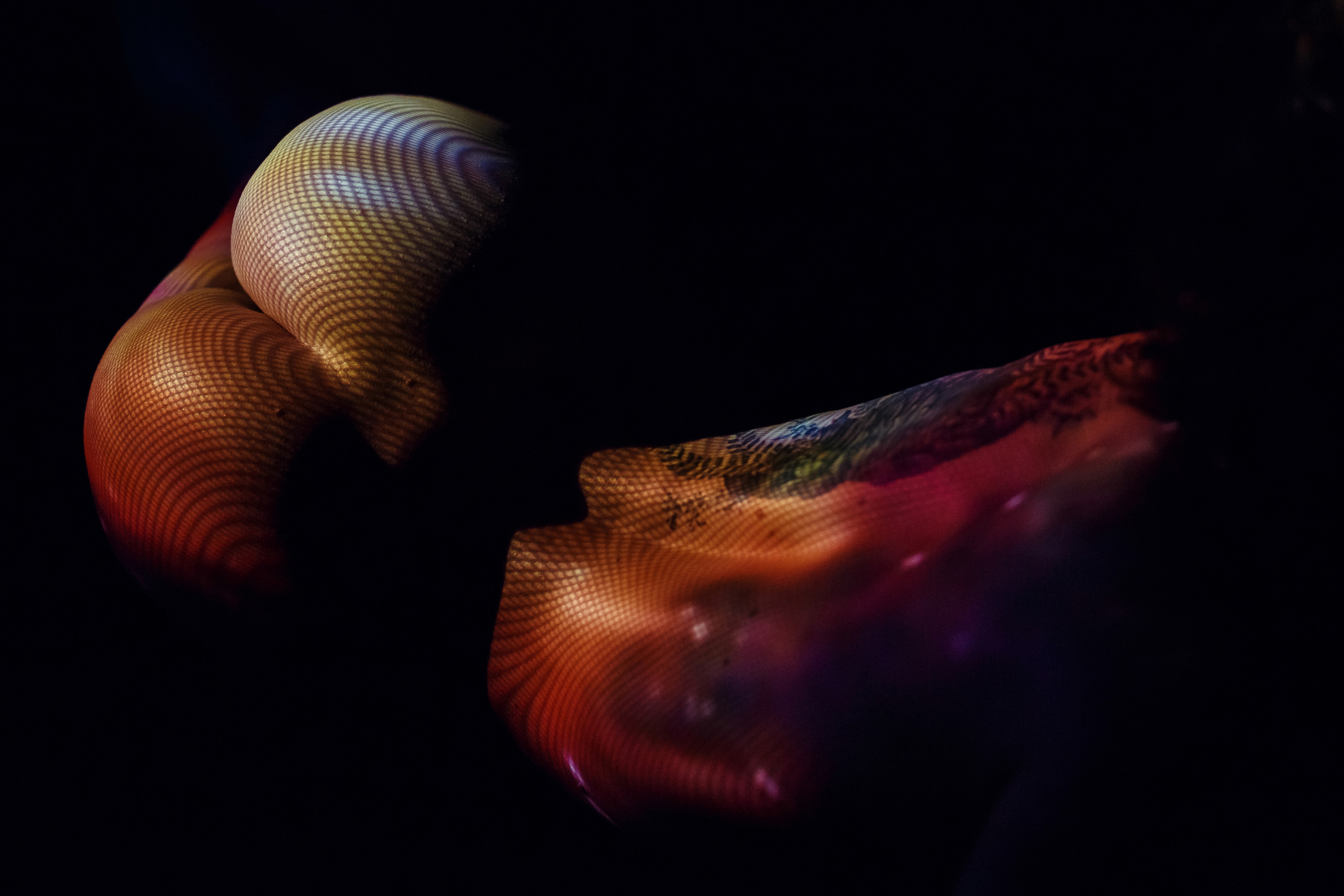 Полина. NesterovaMaria.ru