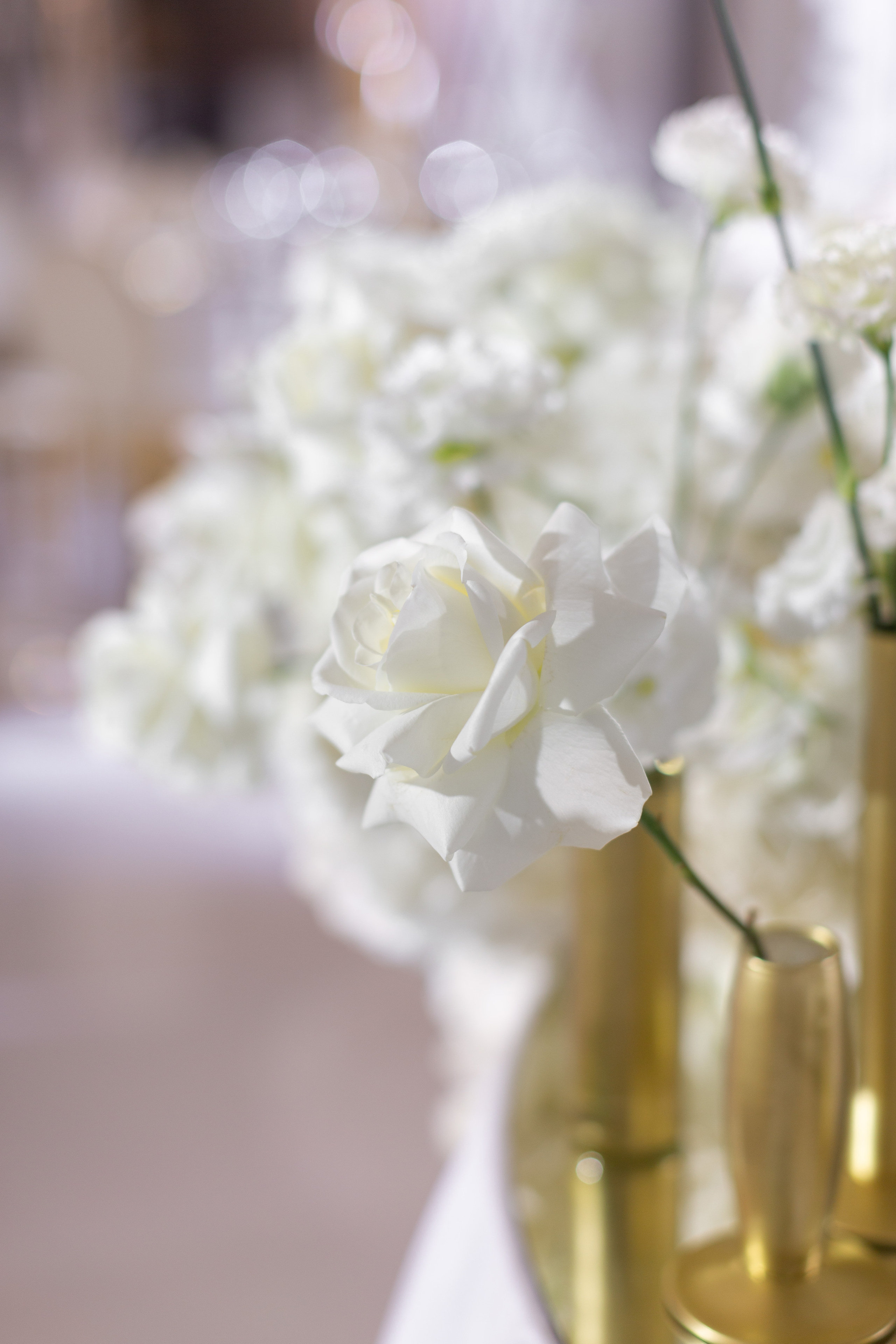 Декор отель Европа. NesterovaMaria.ru