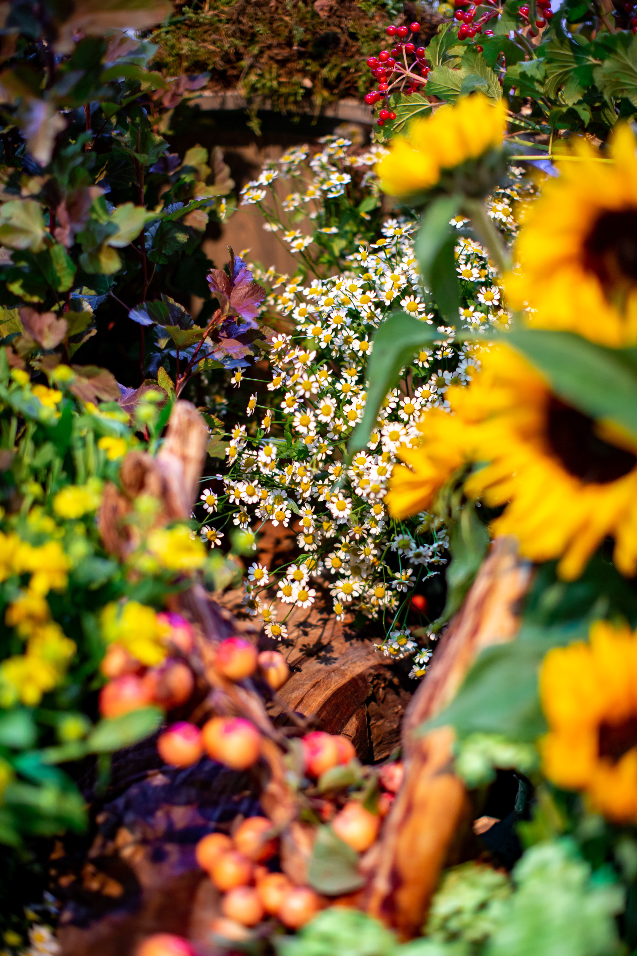 Декор частного мероприятия. NesterovaMaria.ru