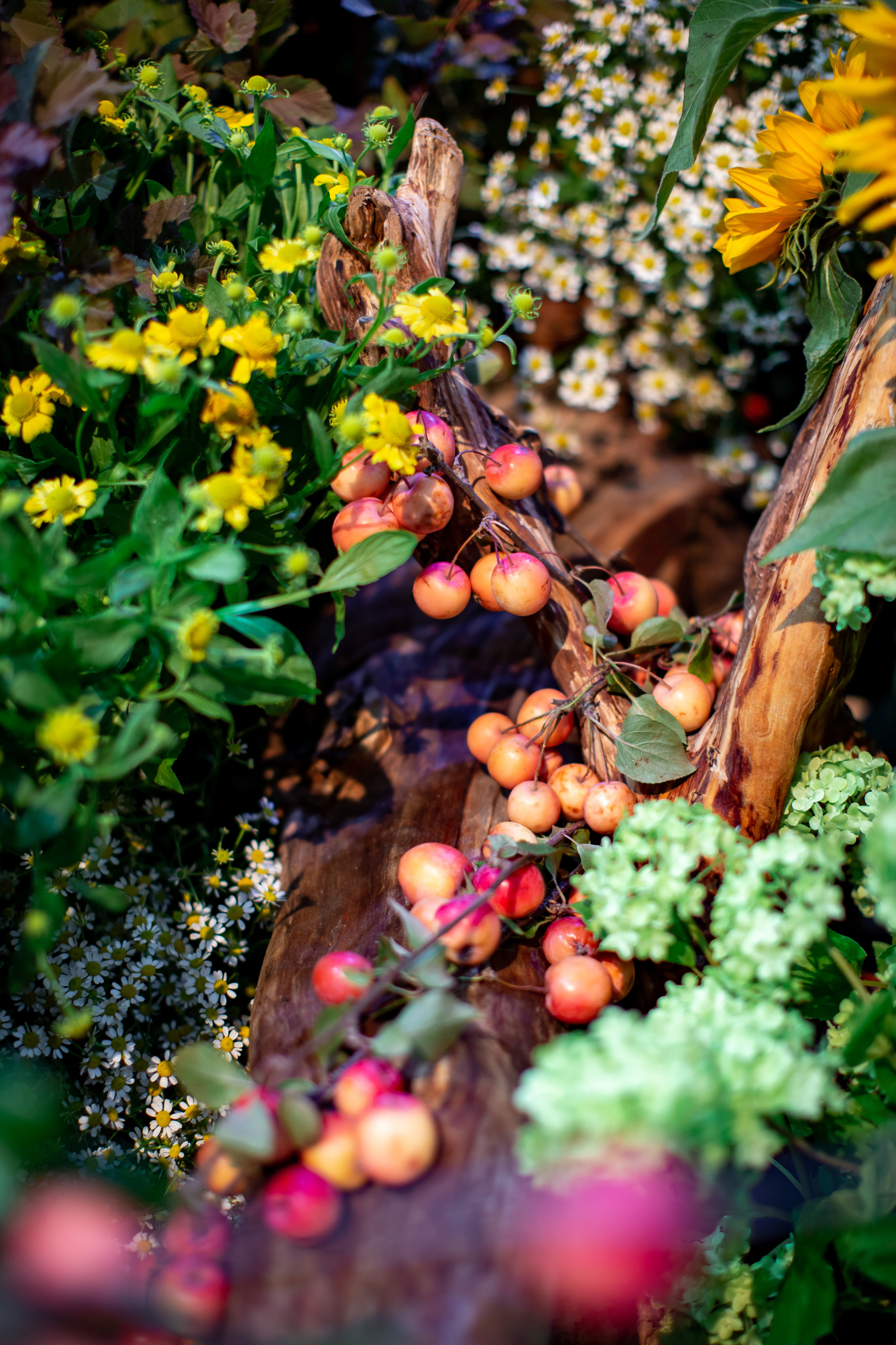 Декор частного мероприятия. NesterovaMaria.ru