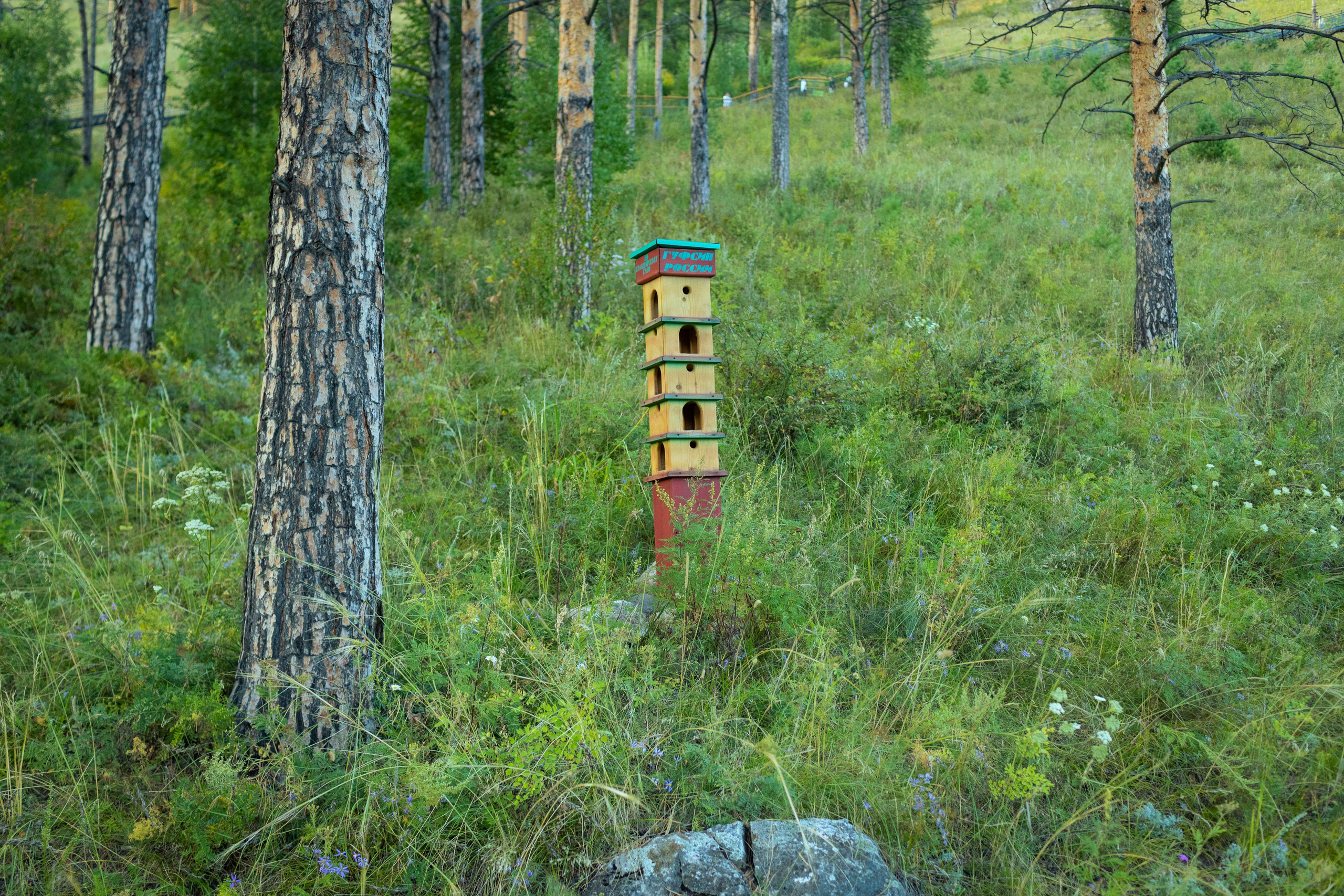 Красноярск (осень 2023). Фотограф Виноградов Константин