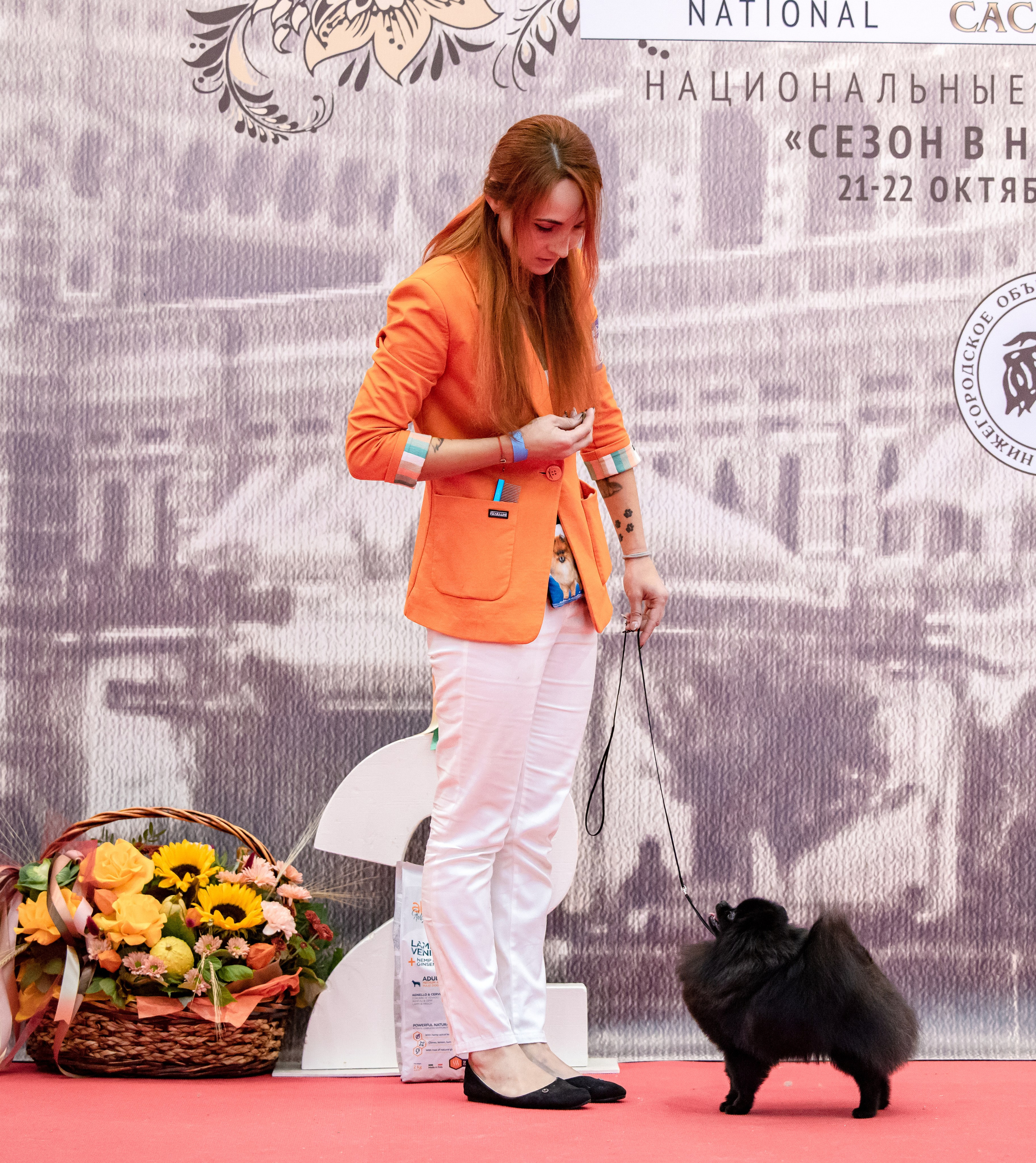 Нижний Новгород 21-22.10.2023. Фотограф-анималист Юлия Германика