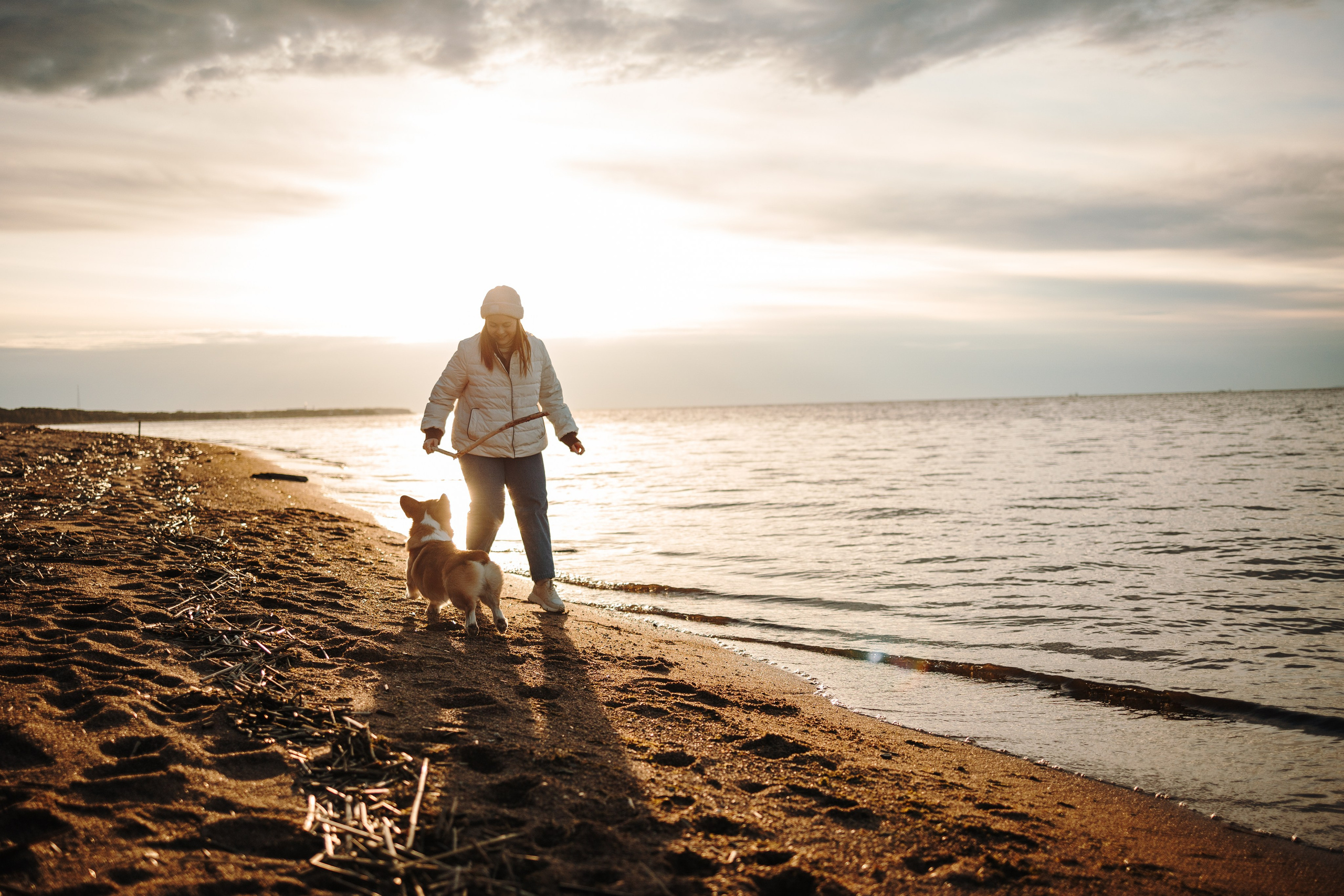 Найт и его семья. Фотограф — Анималист | Санкт-Петербург