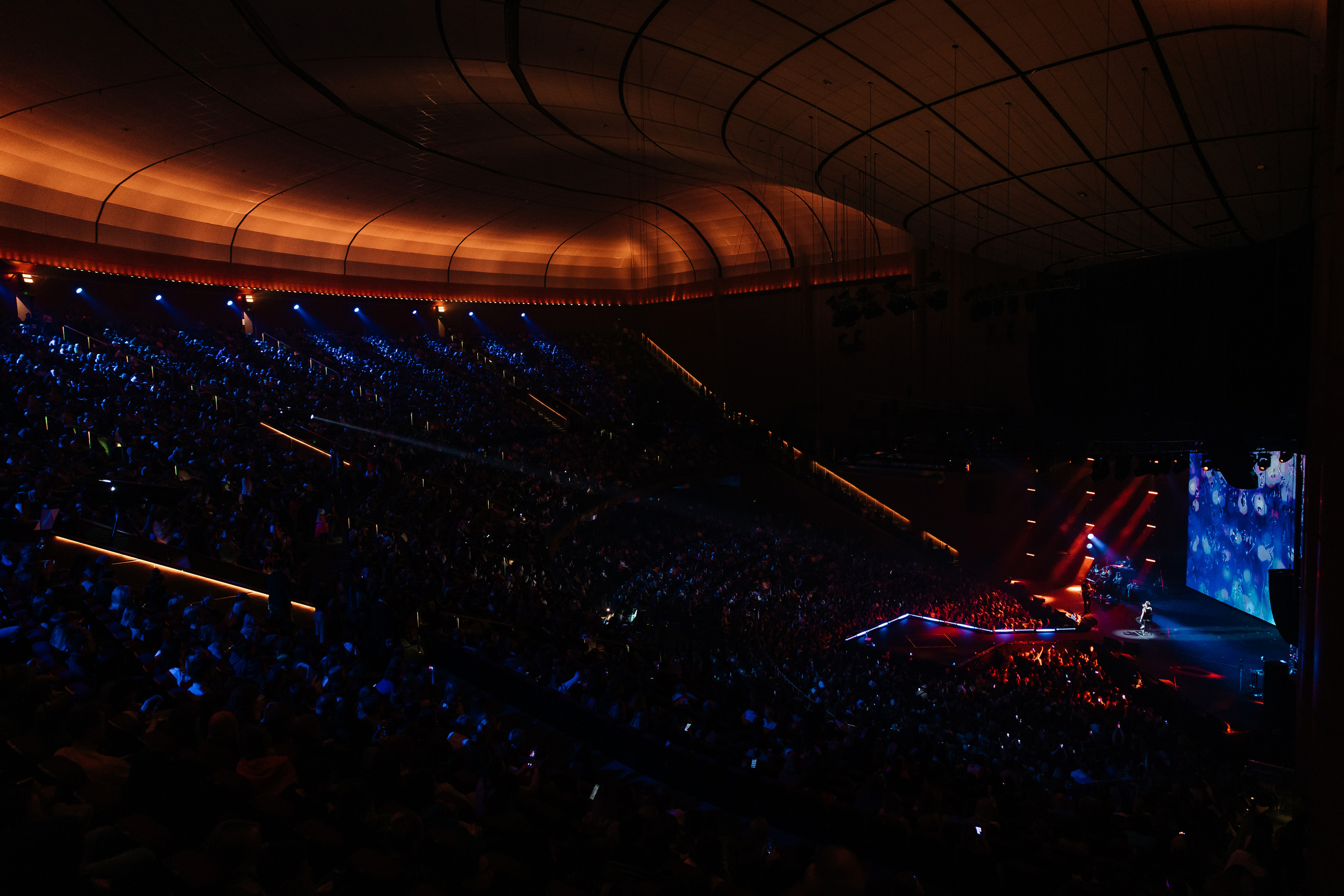 Дима Билан. Светский фотограф — Анисина Ирина