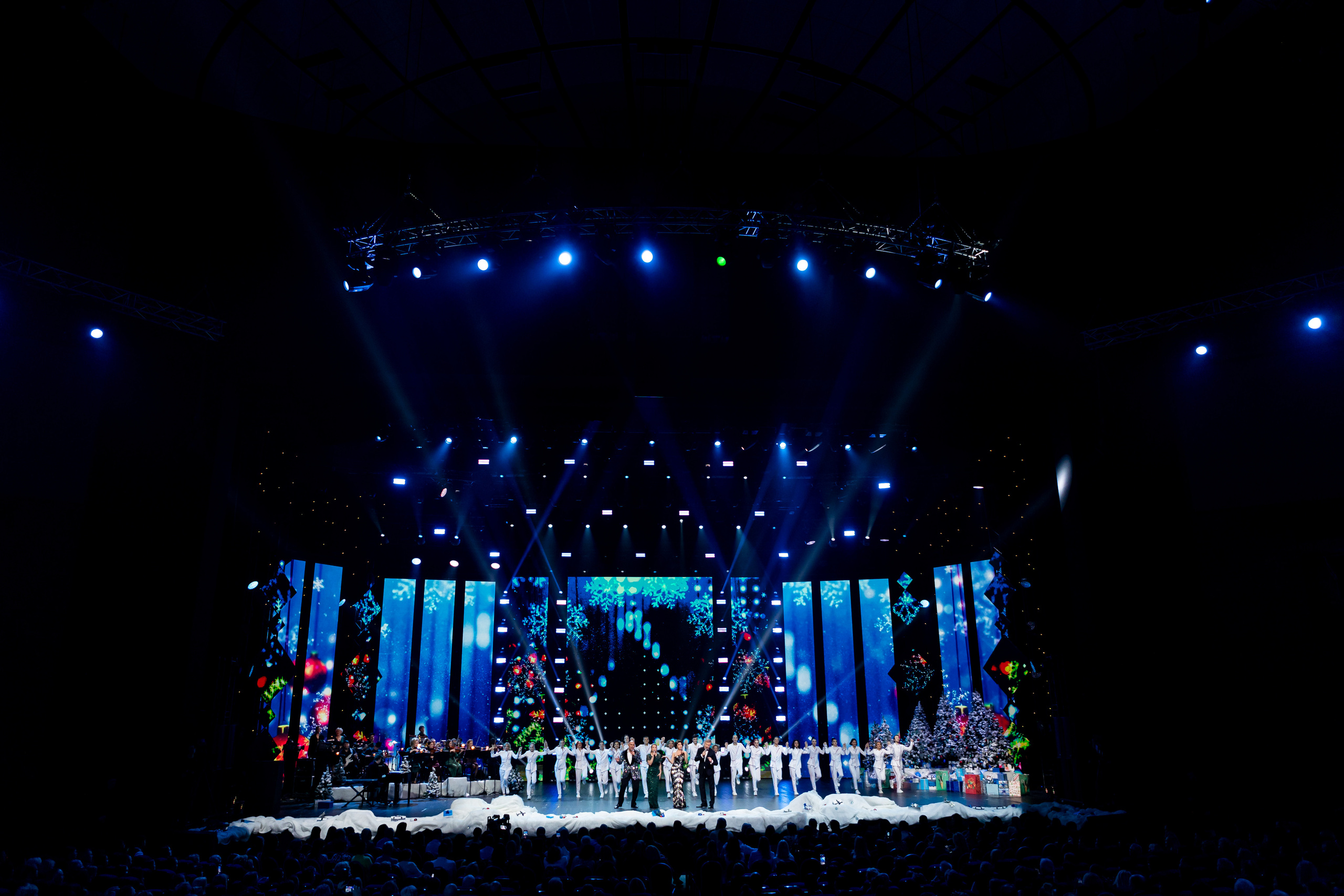 Наш Новый Год. Светский фотограф — Анисина Ирина