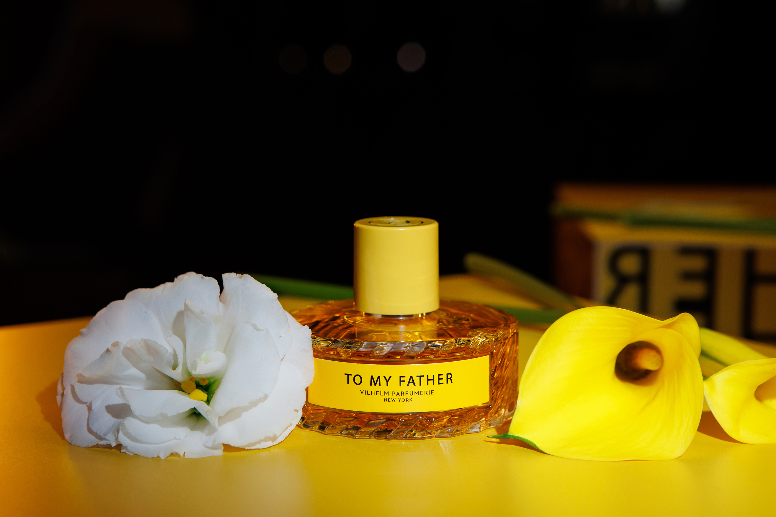 TO MY FATHER. Светский фотограф — Анисина Ирина