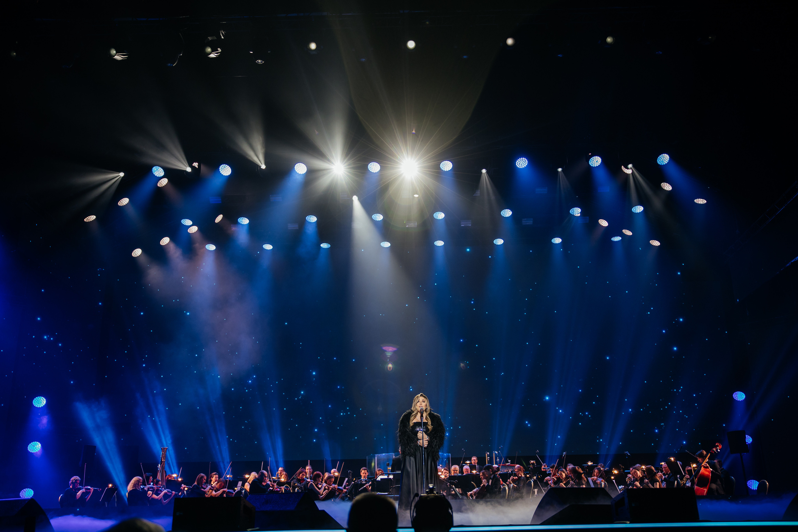 Ты мой Герой. Светский фотограф — Анисина Ирина