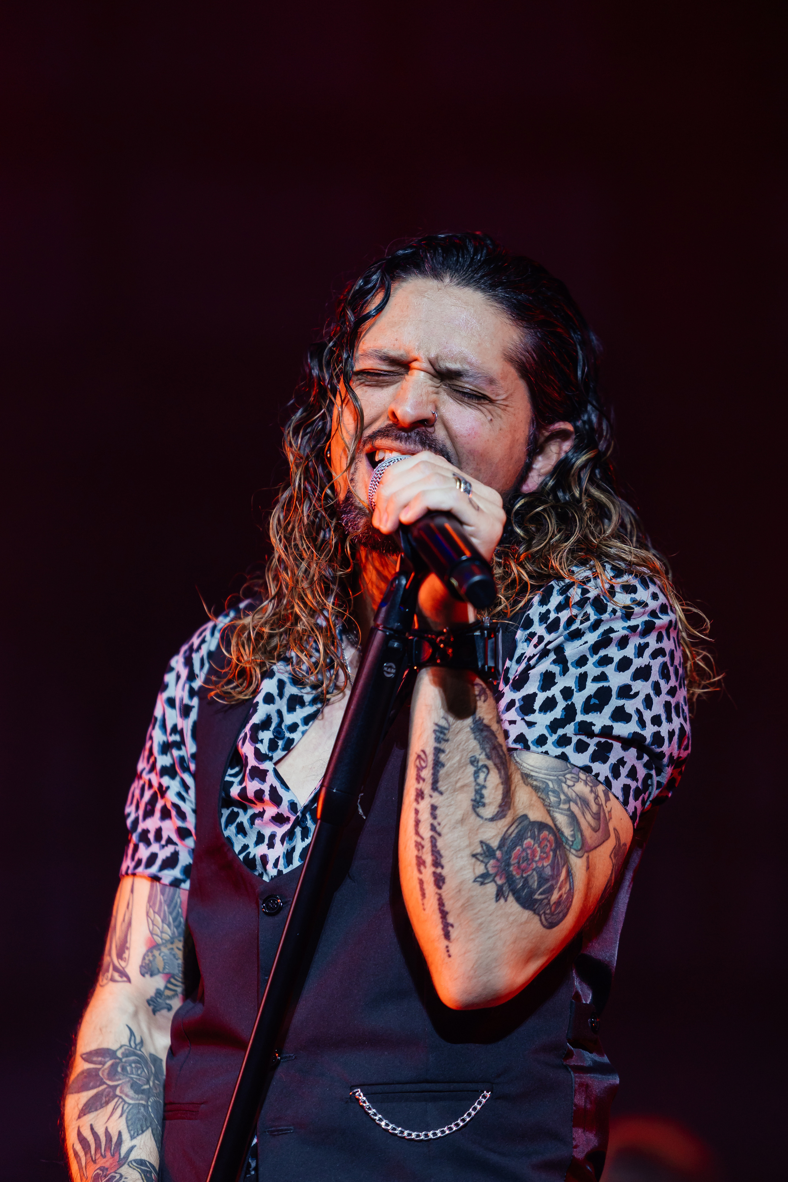 QUEEN CLASSICS. Светский фотограф — Анисина Ирина