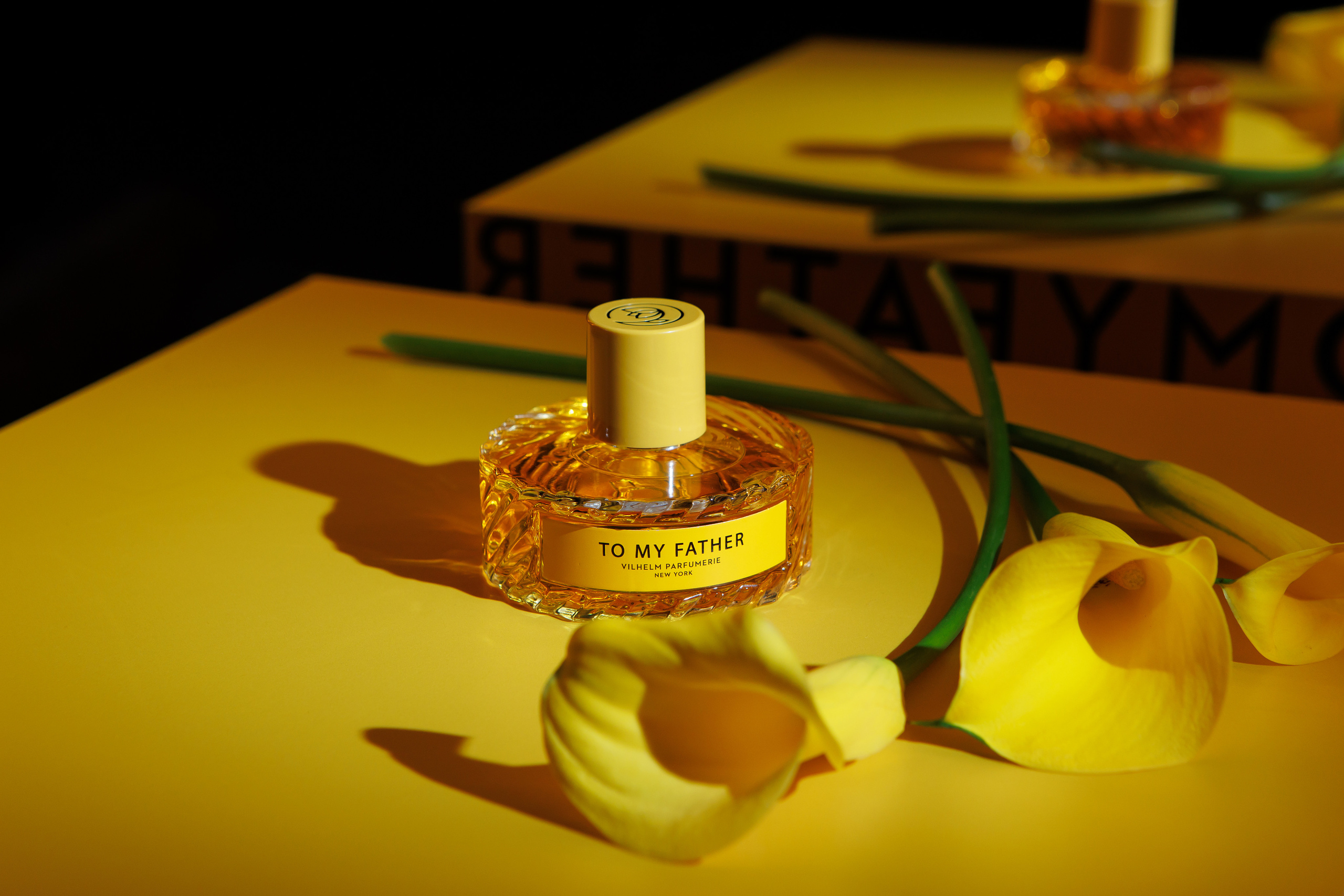 TO MY FATHER. Светский фотограф — Анисина Ирина