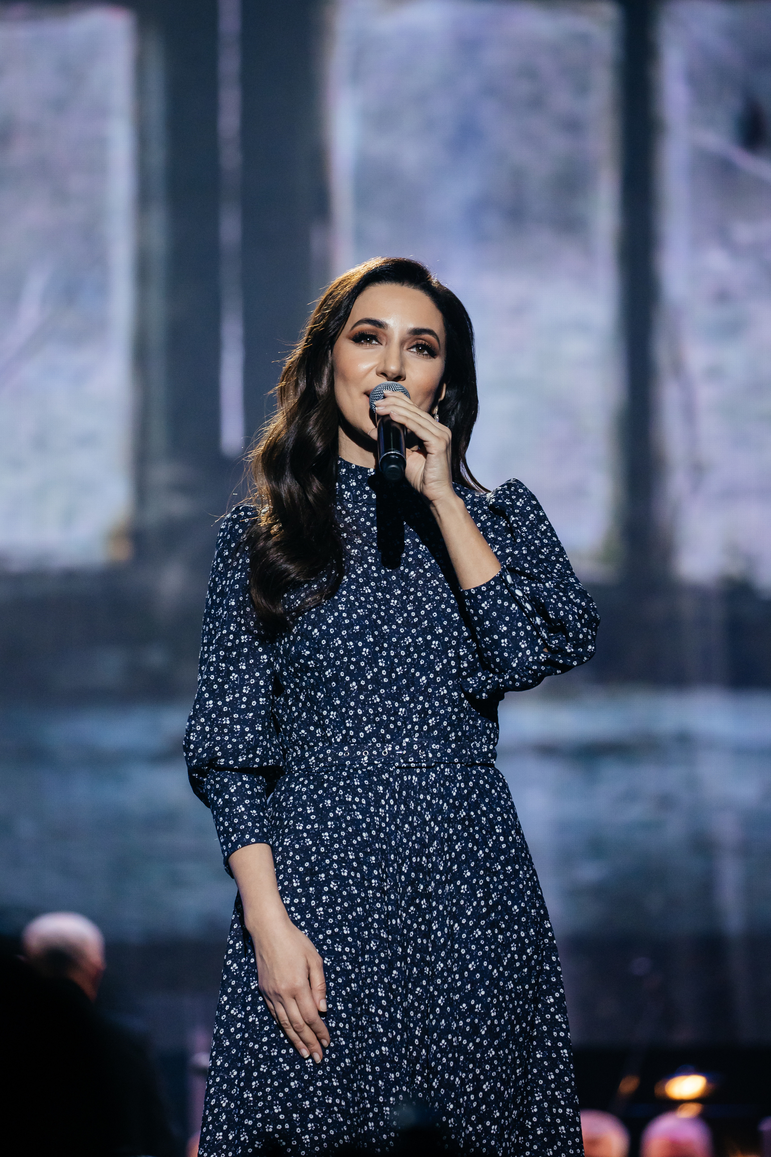 Ты мой Герой. Светский фотограф — Анисина Ирина