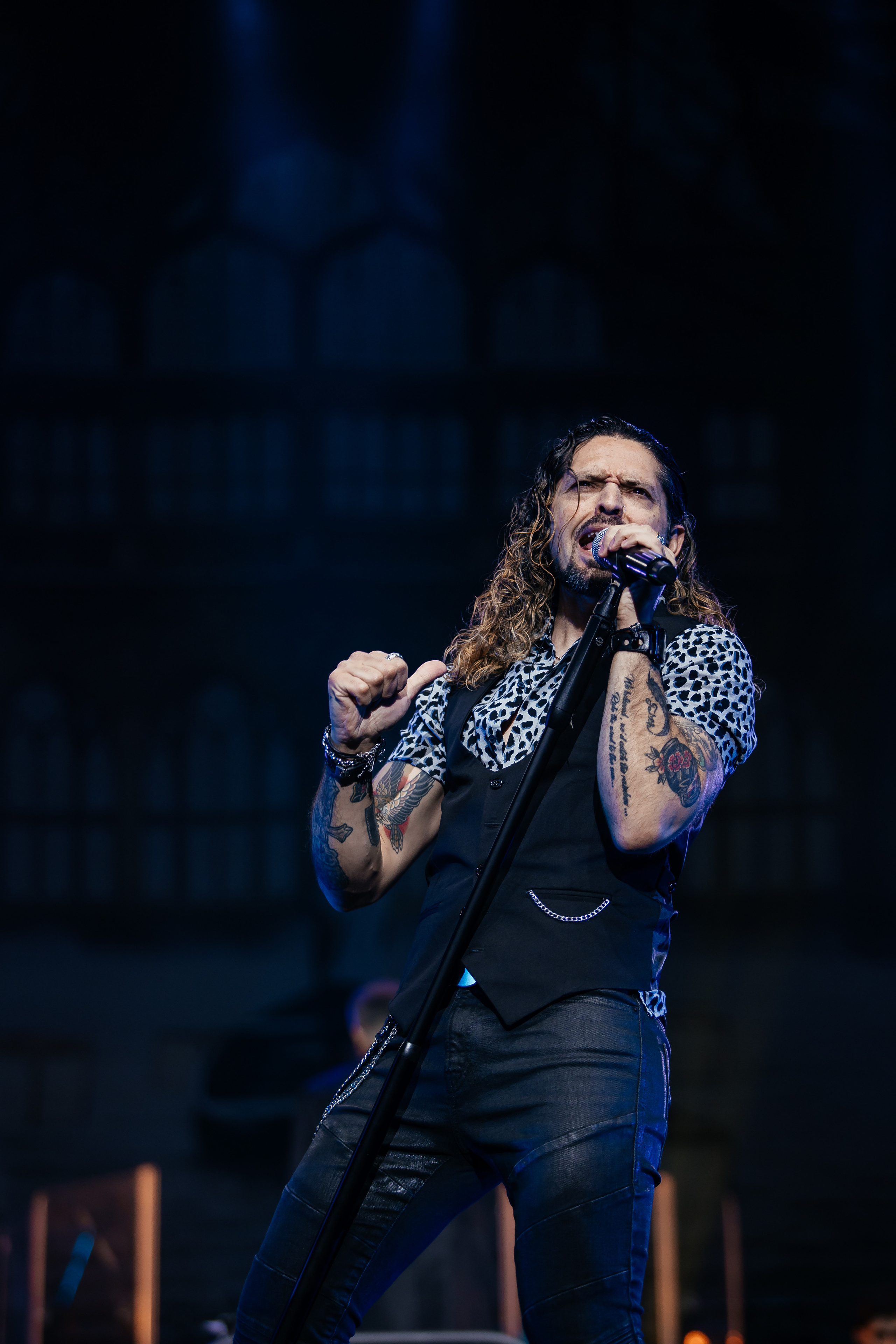 QUEEN CLASSICS. Светский фотограф — Анисина Ирина