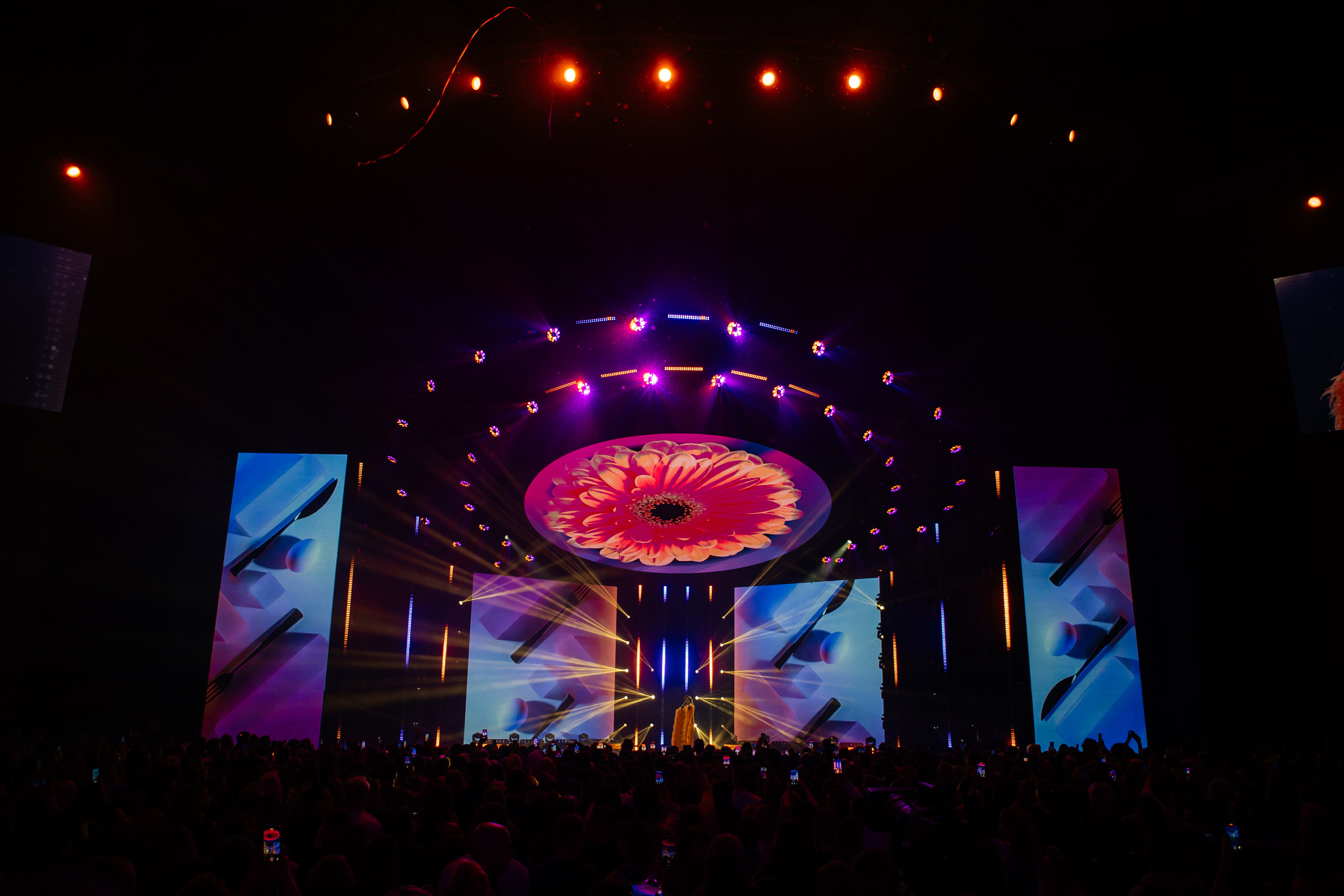 ЖАРА Новый Год. Светский фотограф — Анисина Ирина