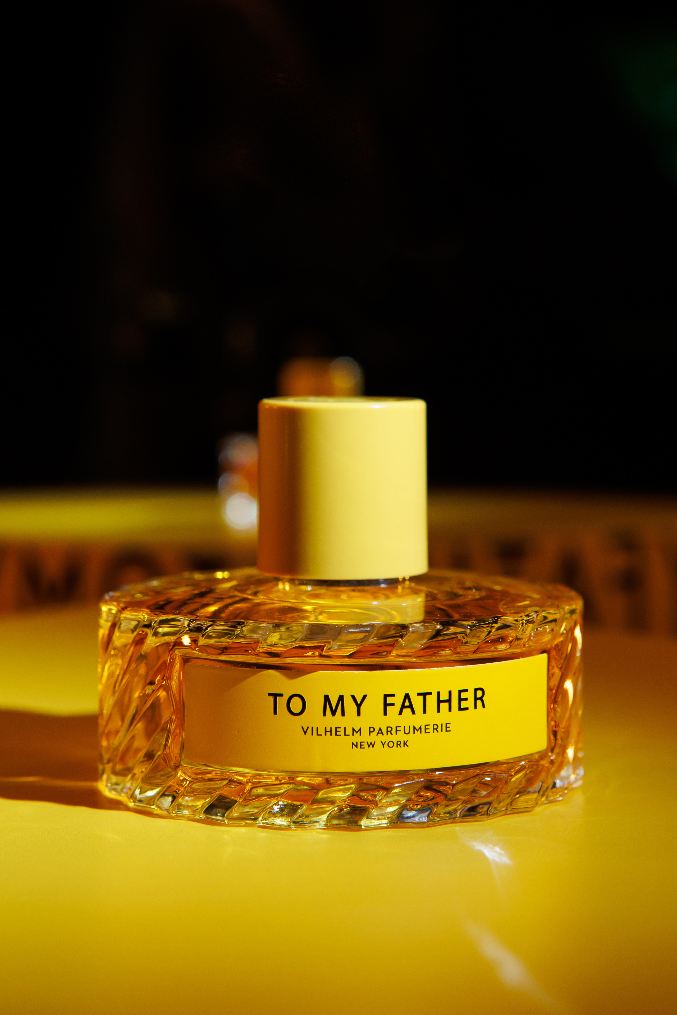 TO MY FATHER. Светский фотограф — Анисина Ирина