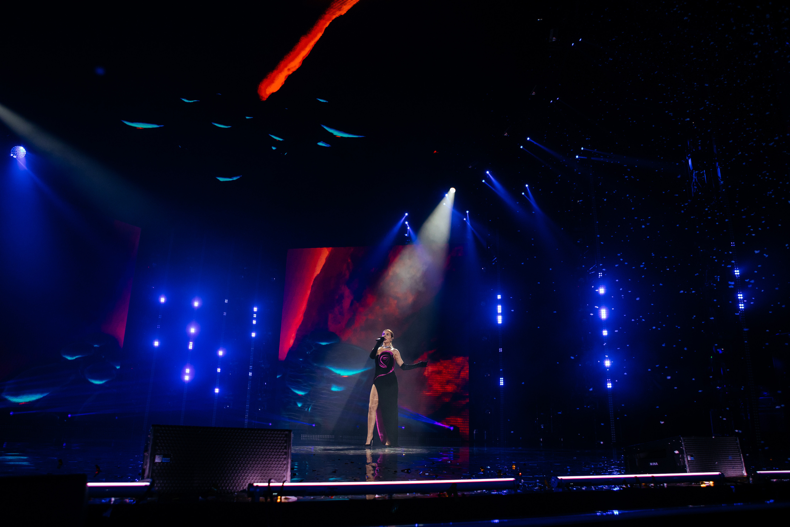 ЖАРА Новый Год. Светский фотограф — Анисина Ирина