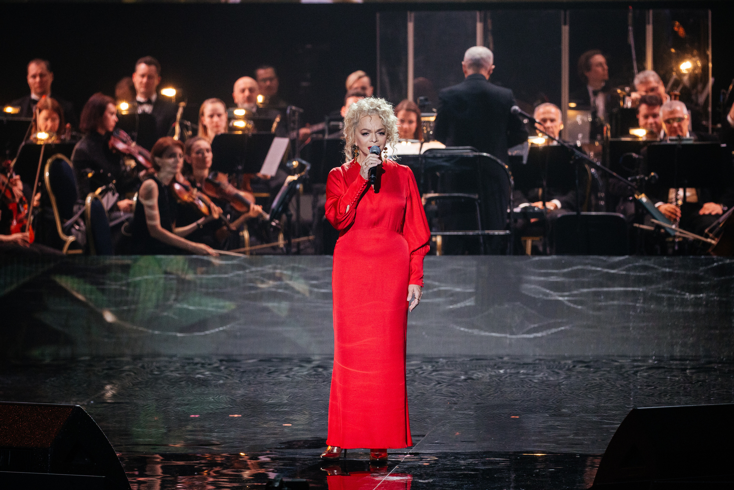 Ты мой Герой. Светский фотограф — Анисина Ирина