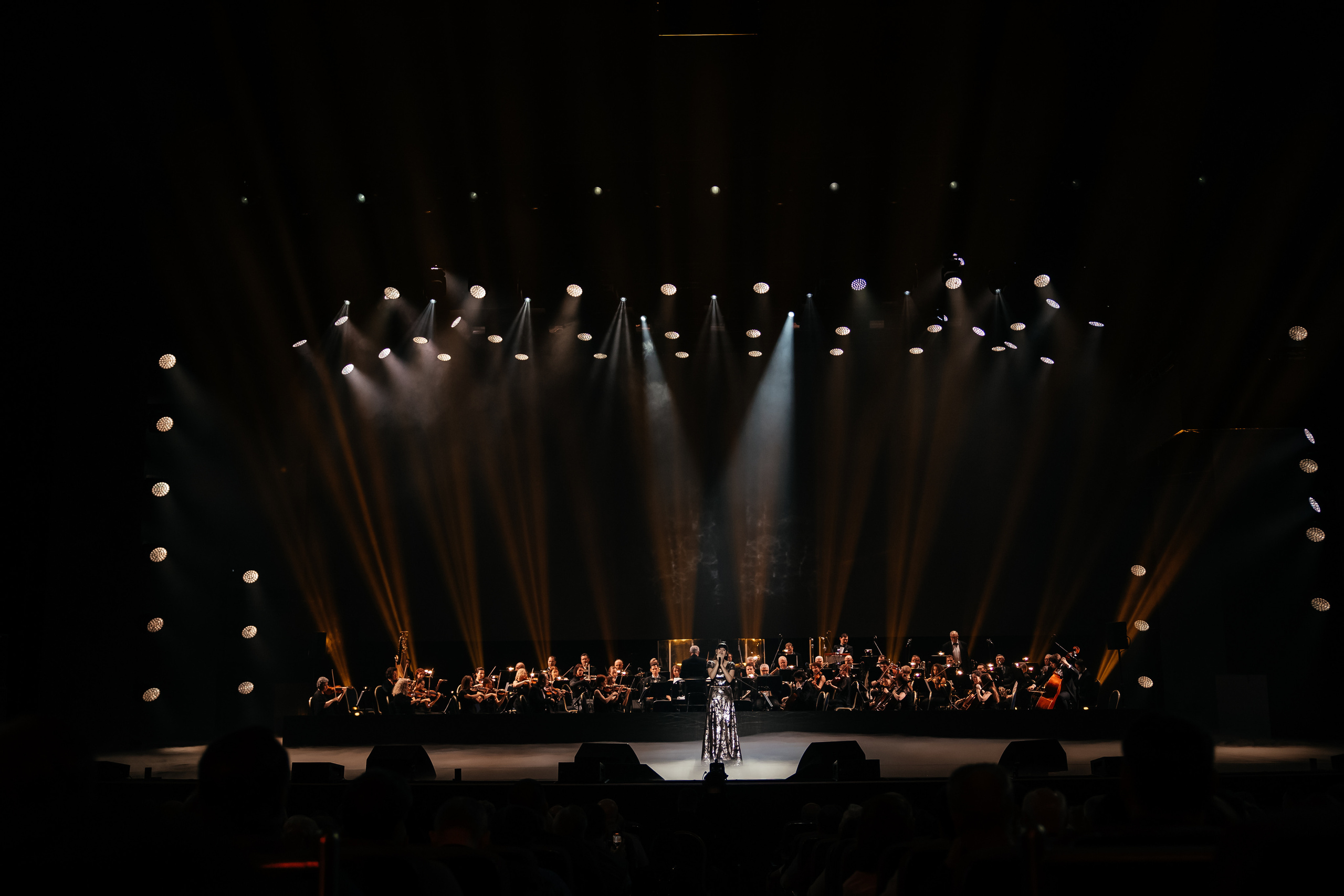 Ты мой Герой. Светский фотограф — Анисина Ирина