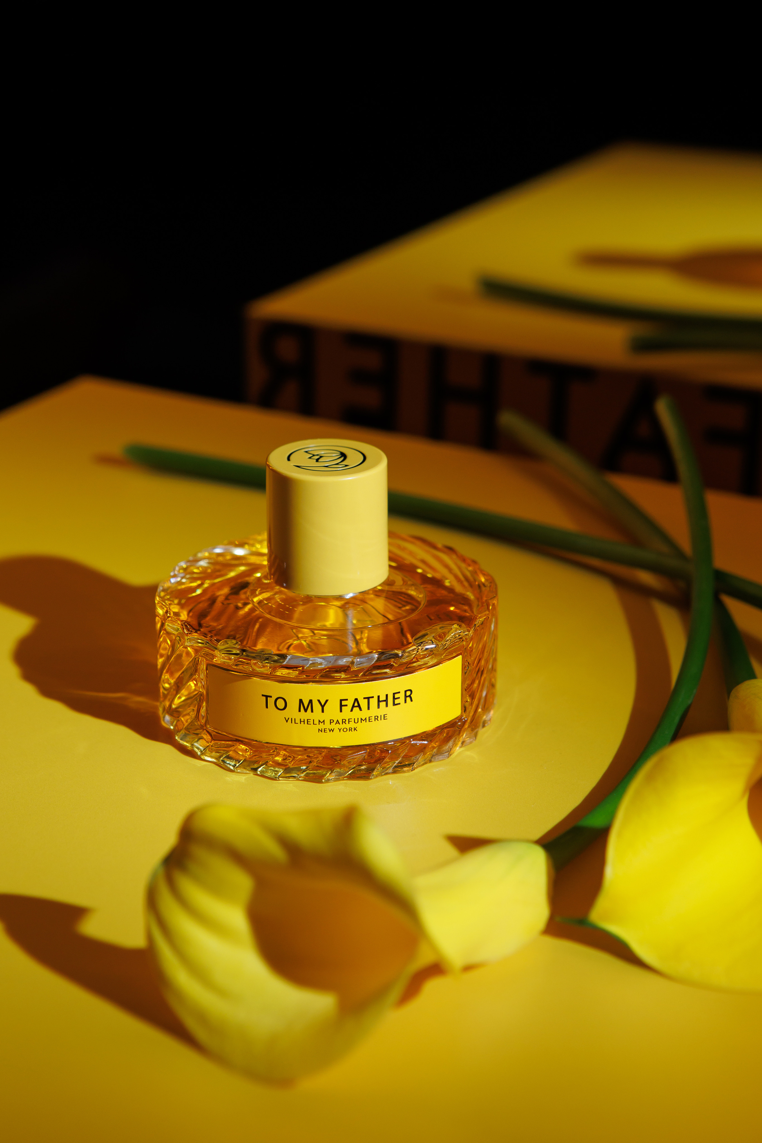 TO MY FATHER. Светский фотограф — Анисина Ирина