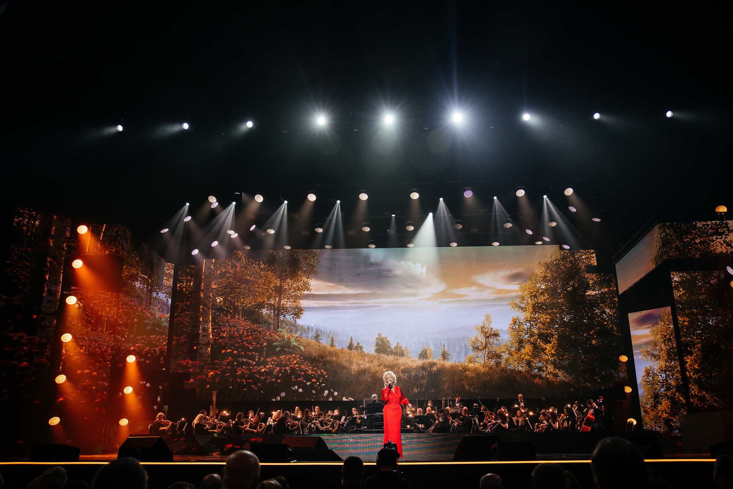 Ты мой Герой. Светский фотограф — Анисина Ирина