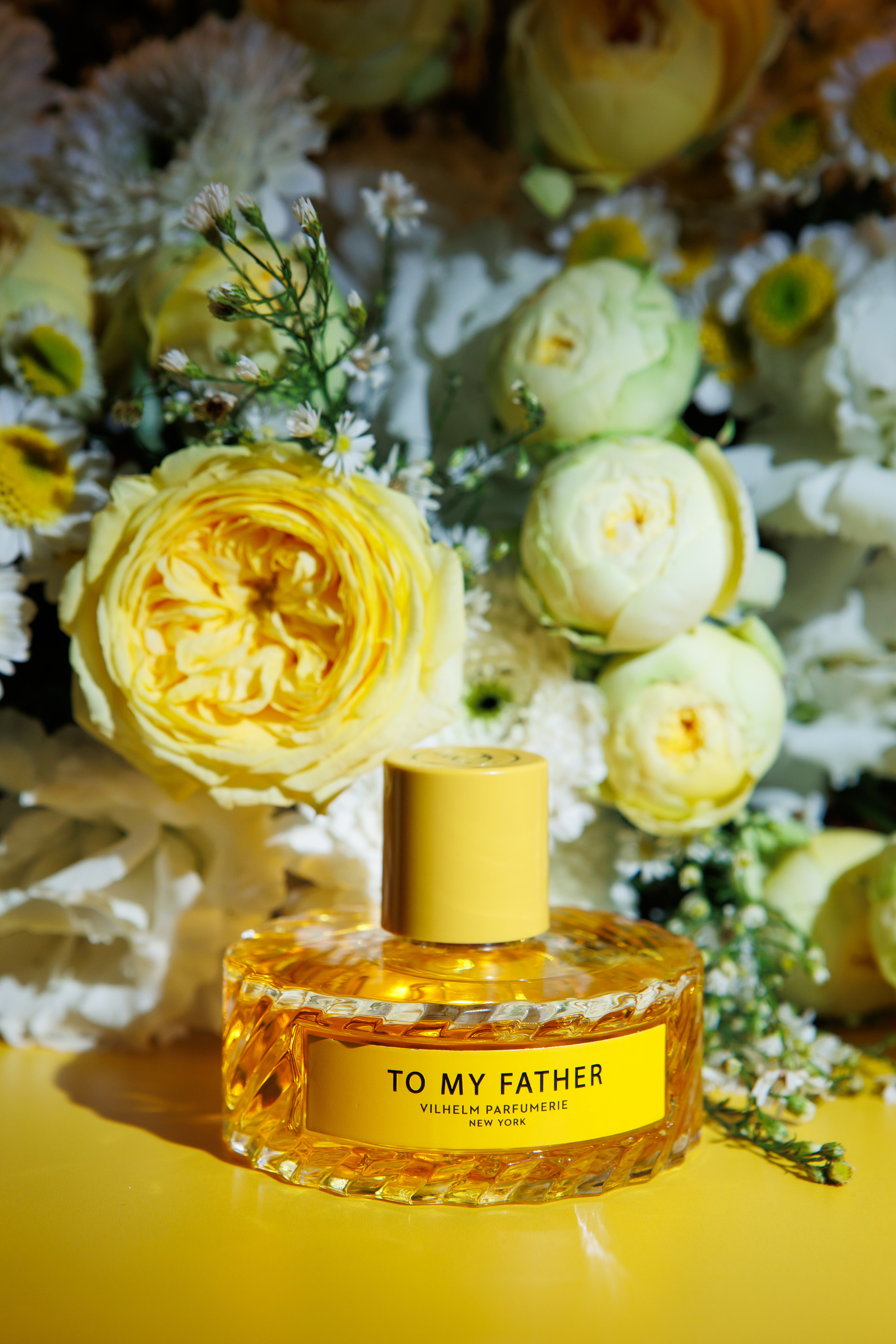 TO MY FATHER. Светский фотограф — Анисина Ирина