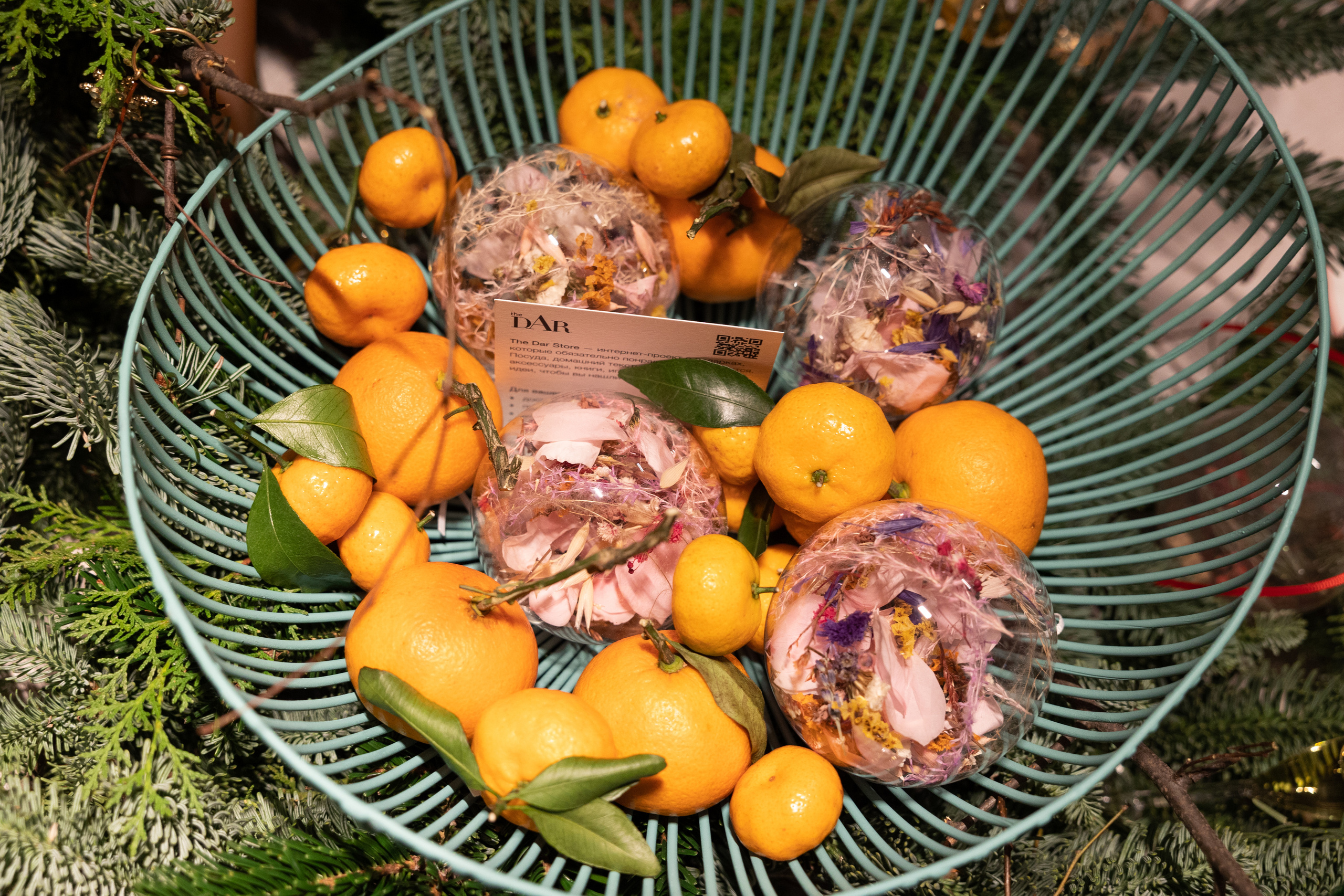 CLIVE. Светский фотограф — Анисина Ирина