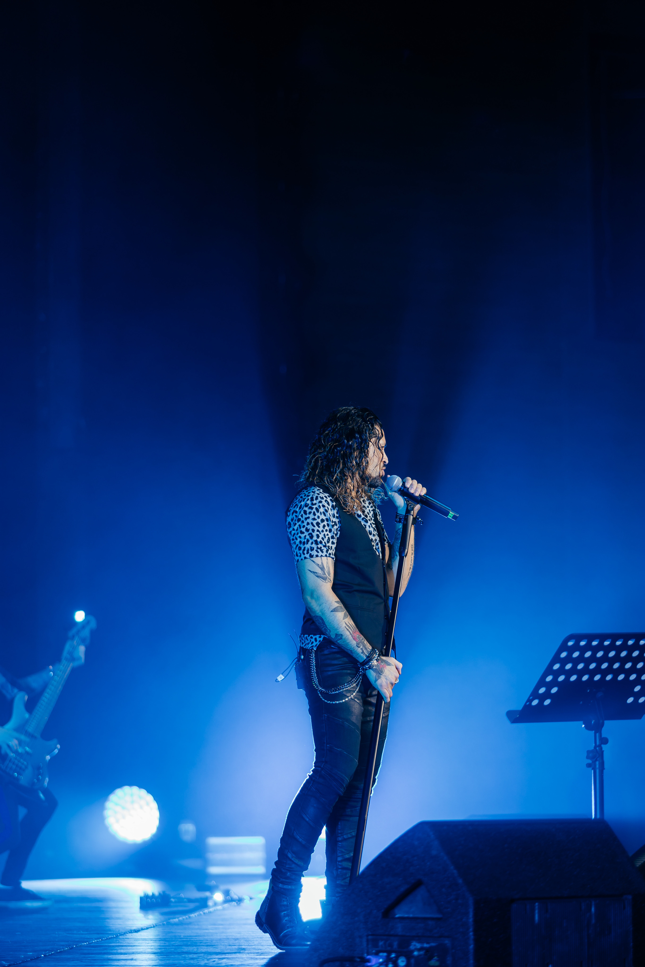 QUEEN CLASSICS. Светский фотограф — Анисина Ирина