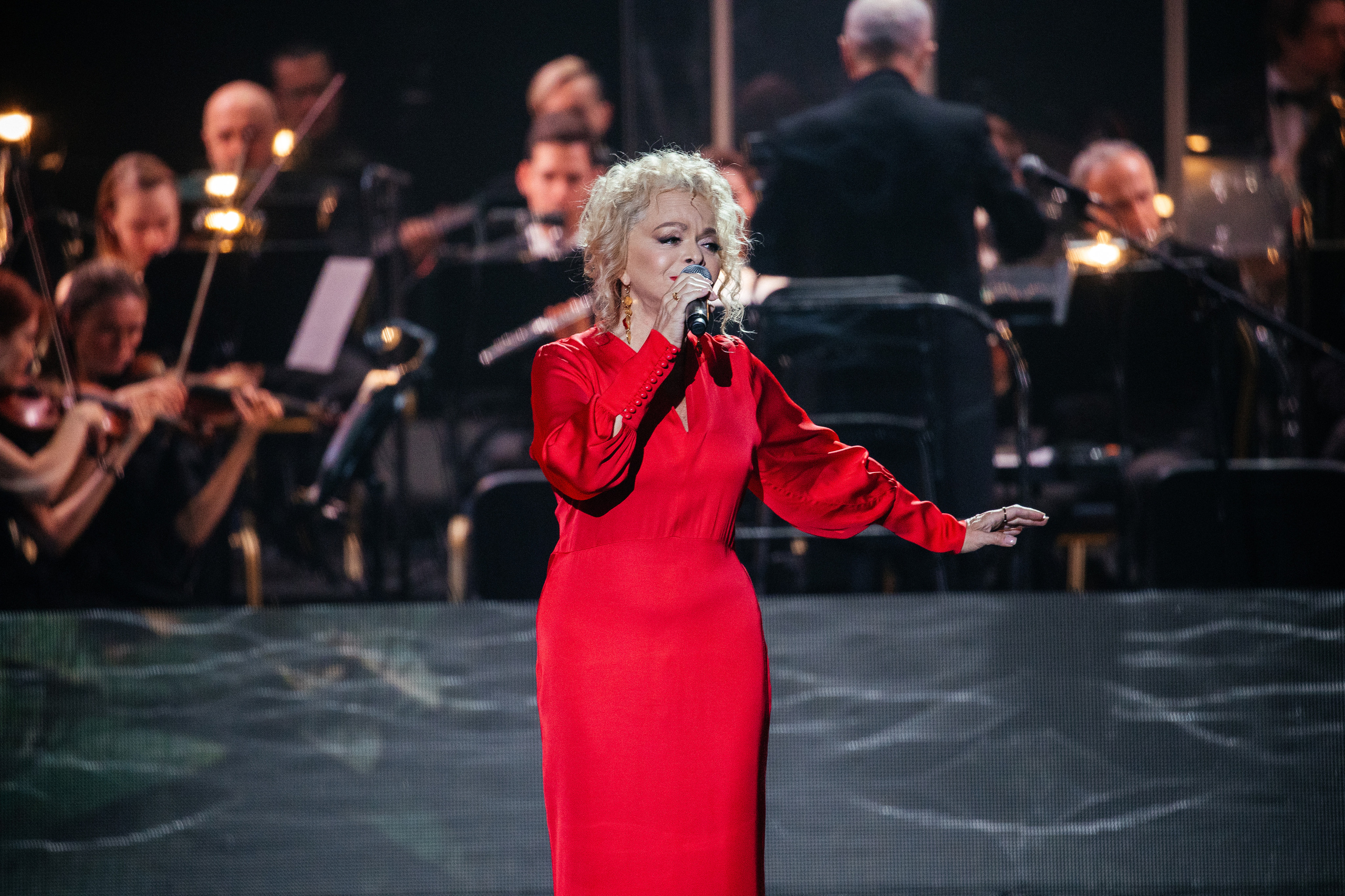 Ты мой Герой. Светский фотограф — Анисина Ирина