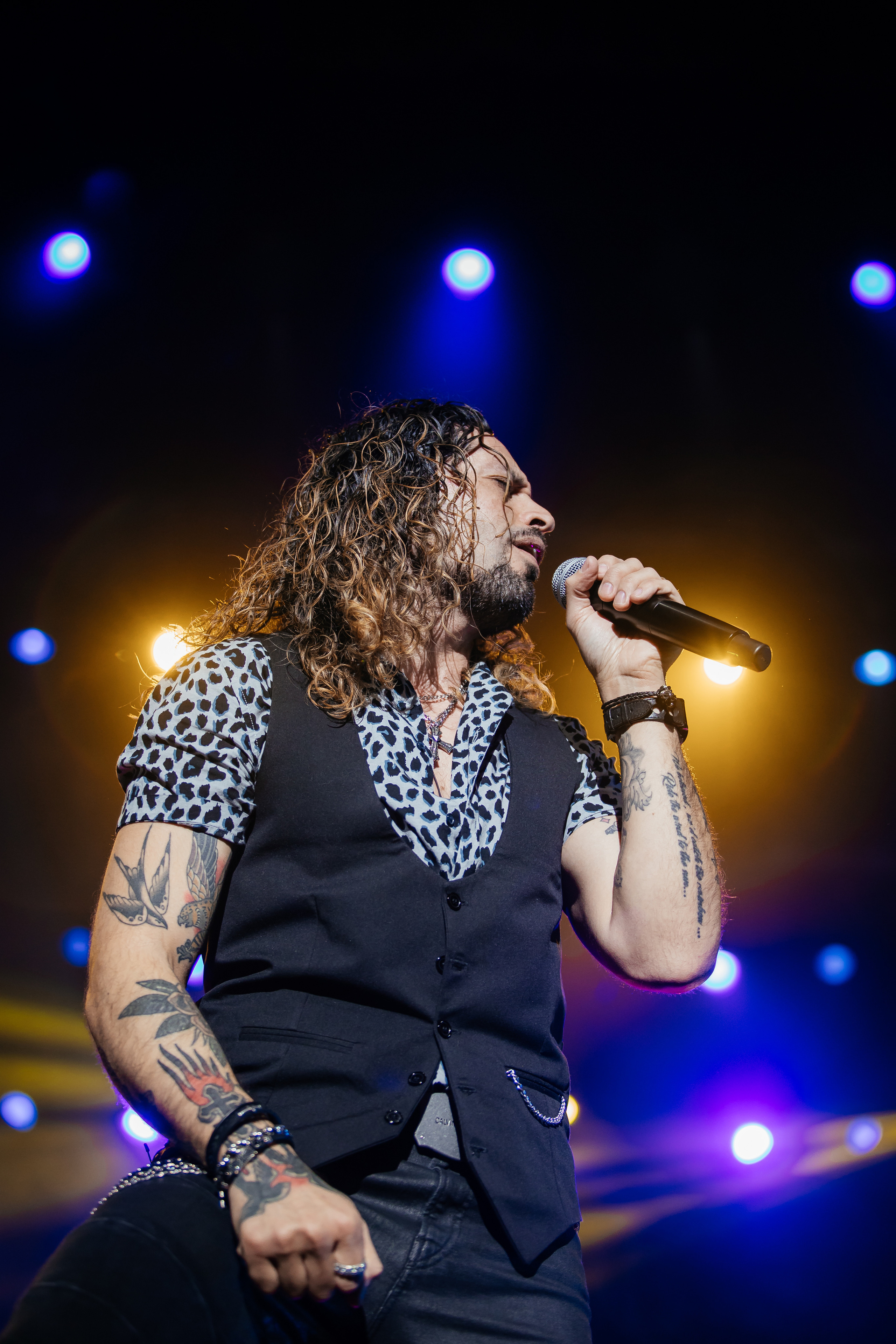 QUEEN CLASSICS. Светский фотограф — Анисина Ирина