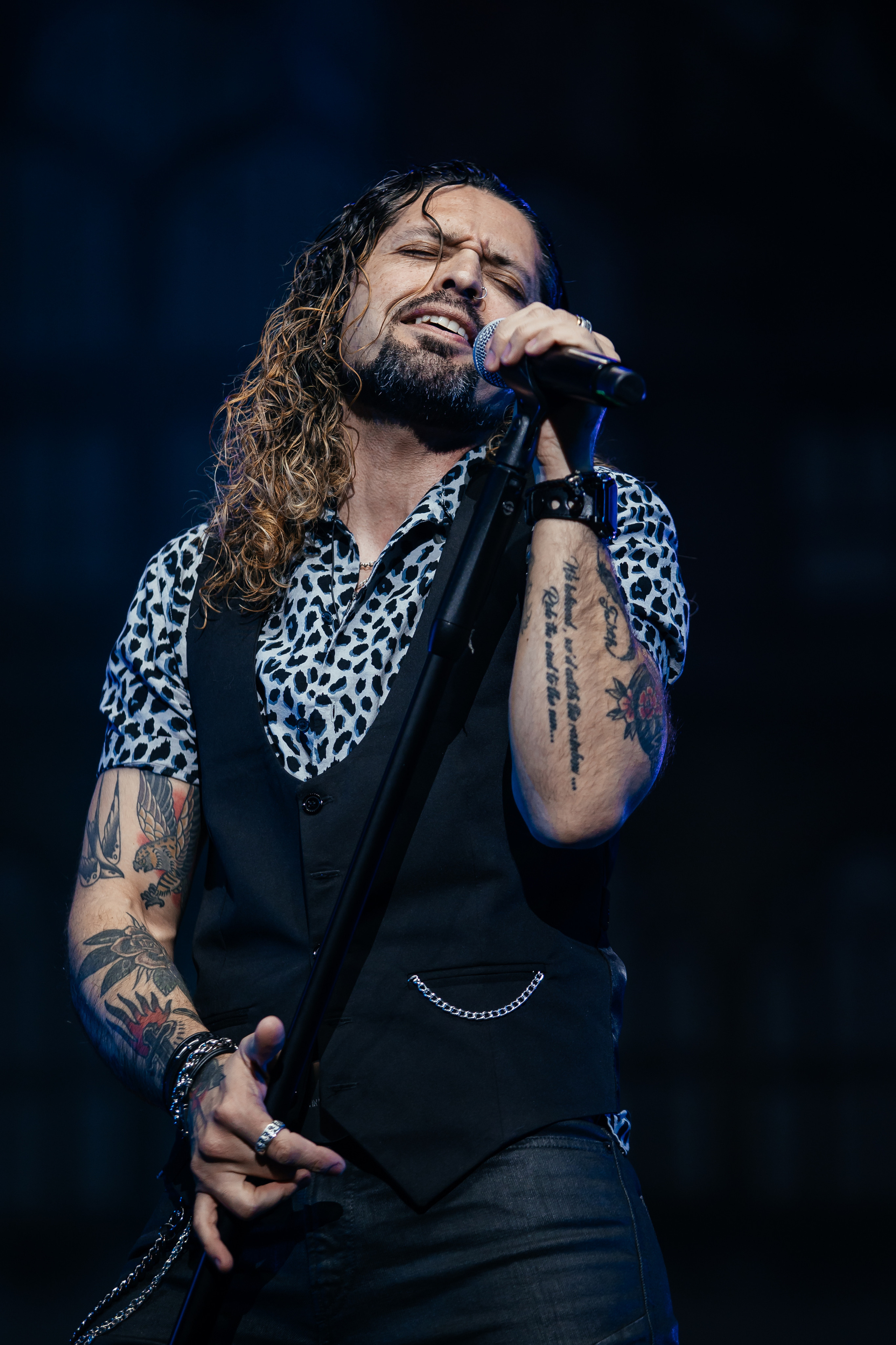 QUEEN CLASSICS. Светский фотограф — Анисина Ирина