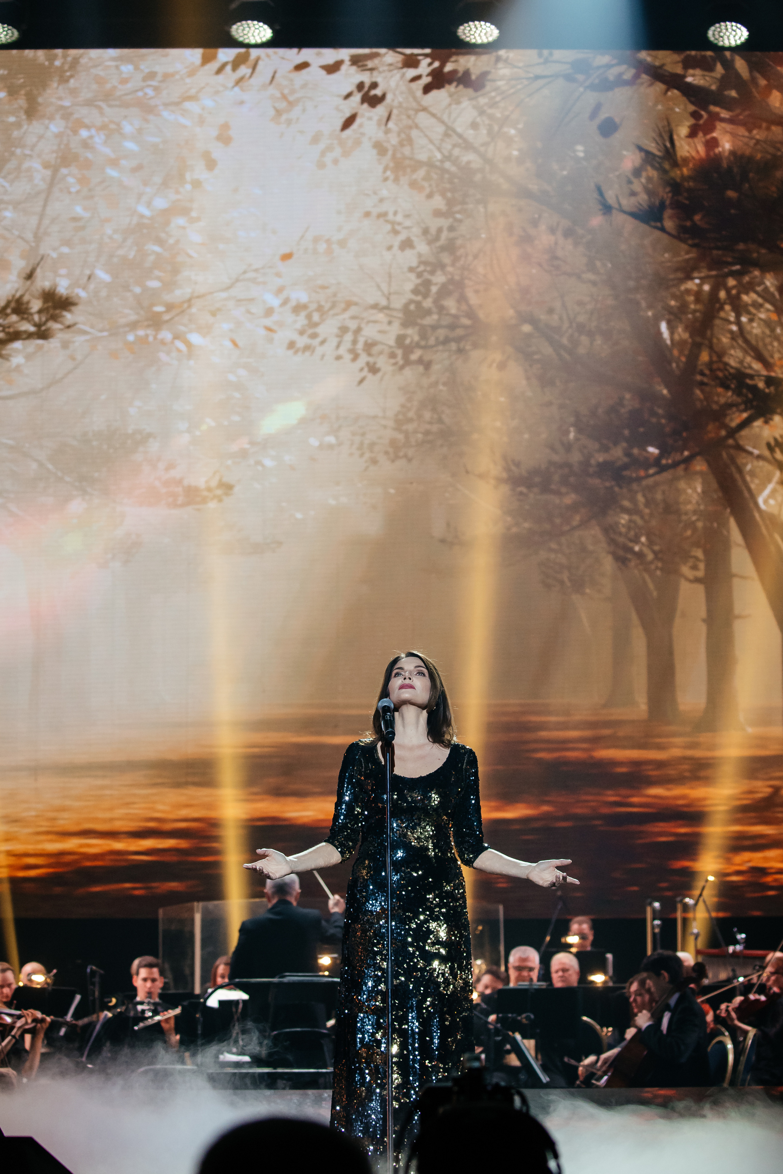 Ты мой Герой. Светский фотограф — Анисина Ирина