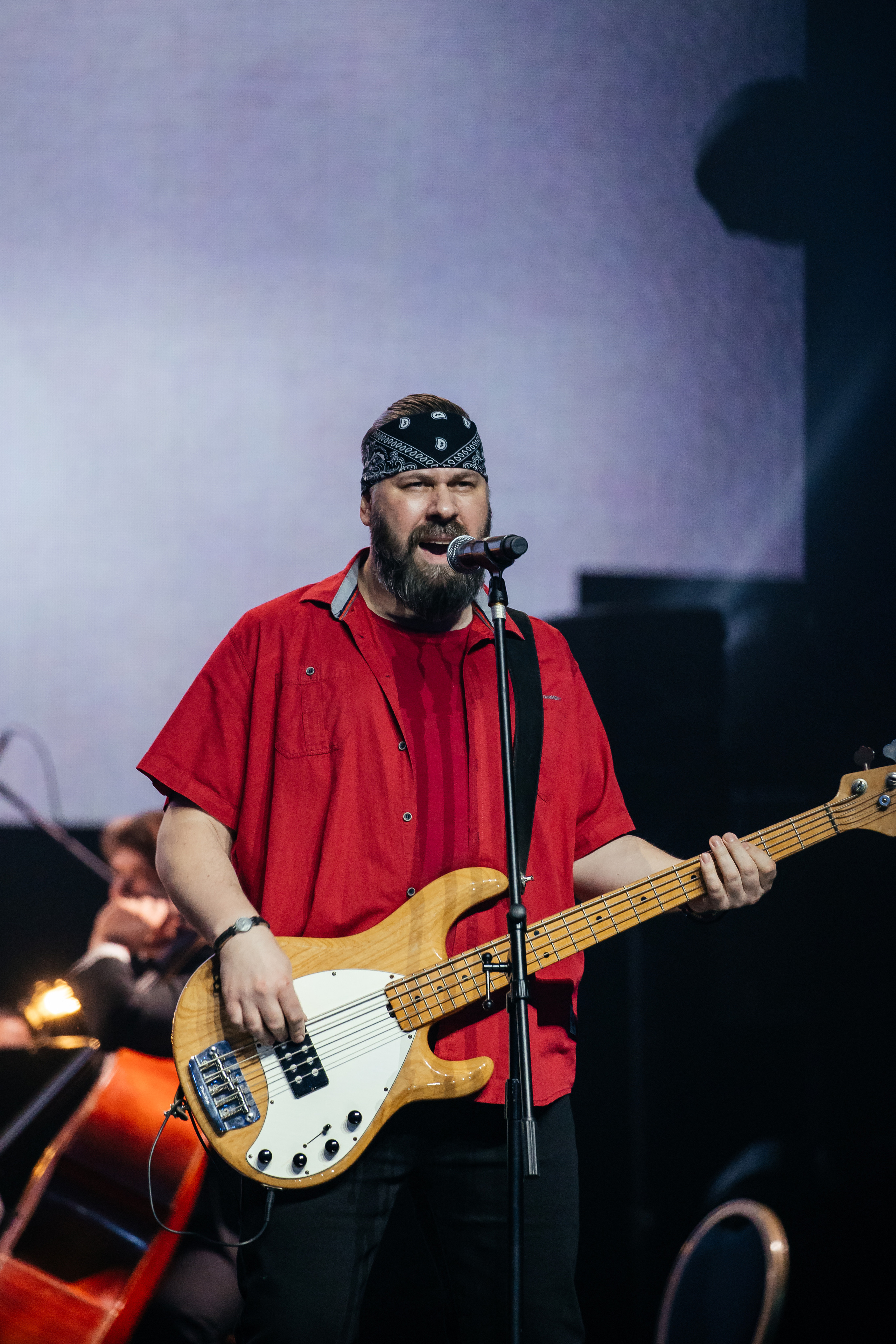 Ты мой Герой. Светский фотограф — Анисина Ирина