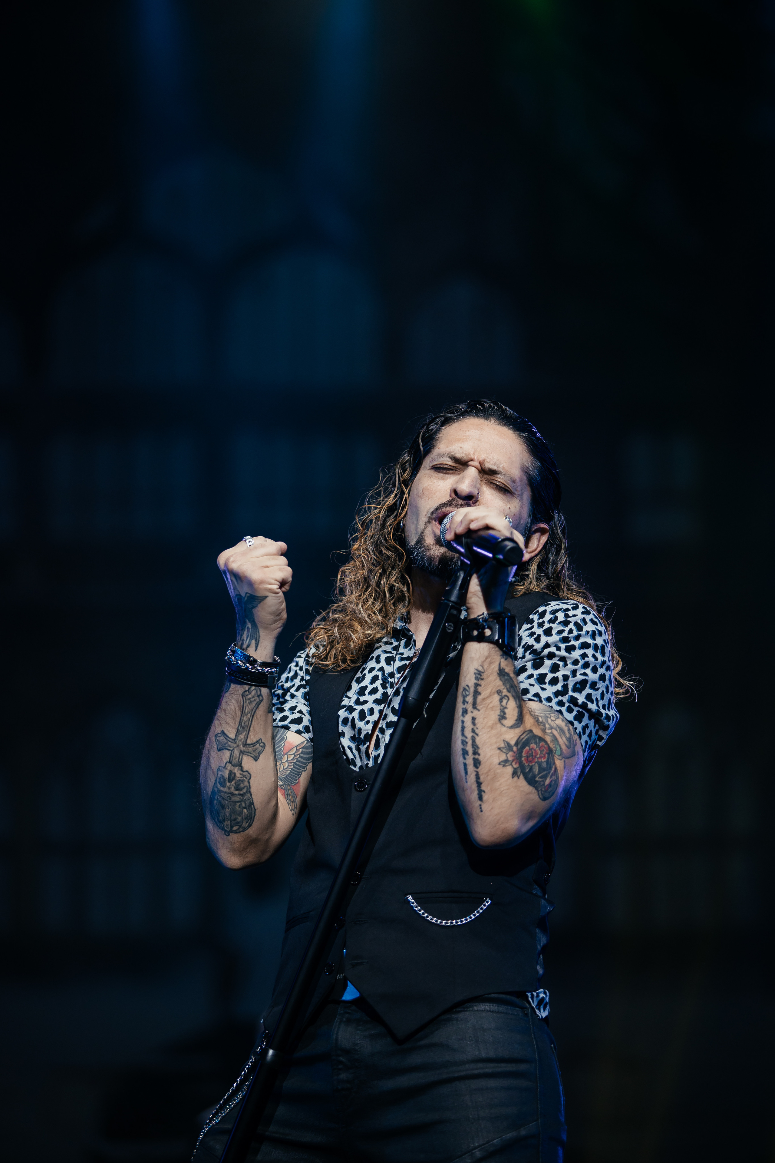 QUEEN CLASSICS. Светский фотограф — Анисина Ирина