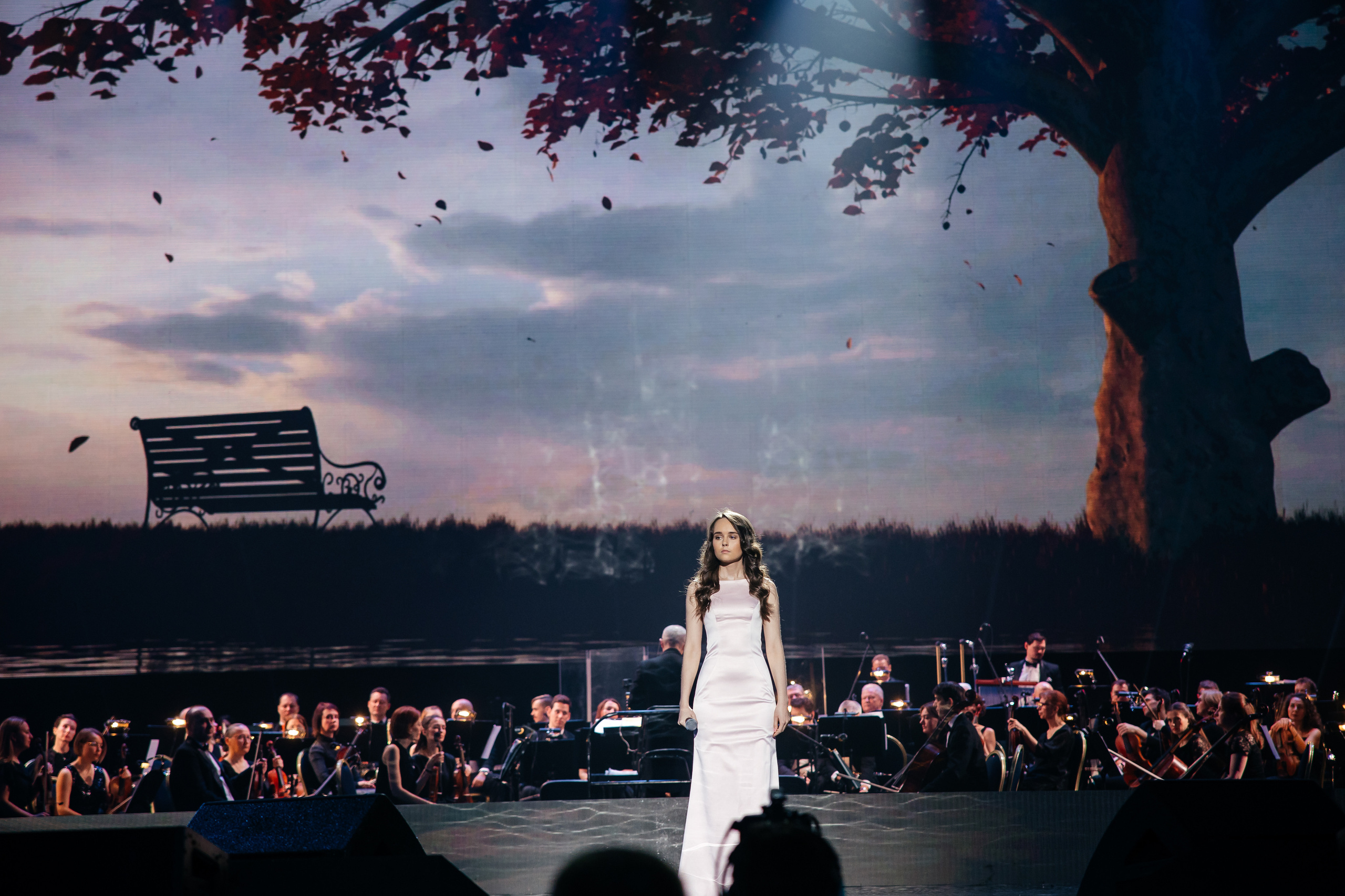 Ты мой Герой. Светский фотограф — Анисина Ирина