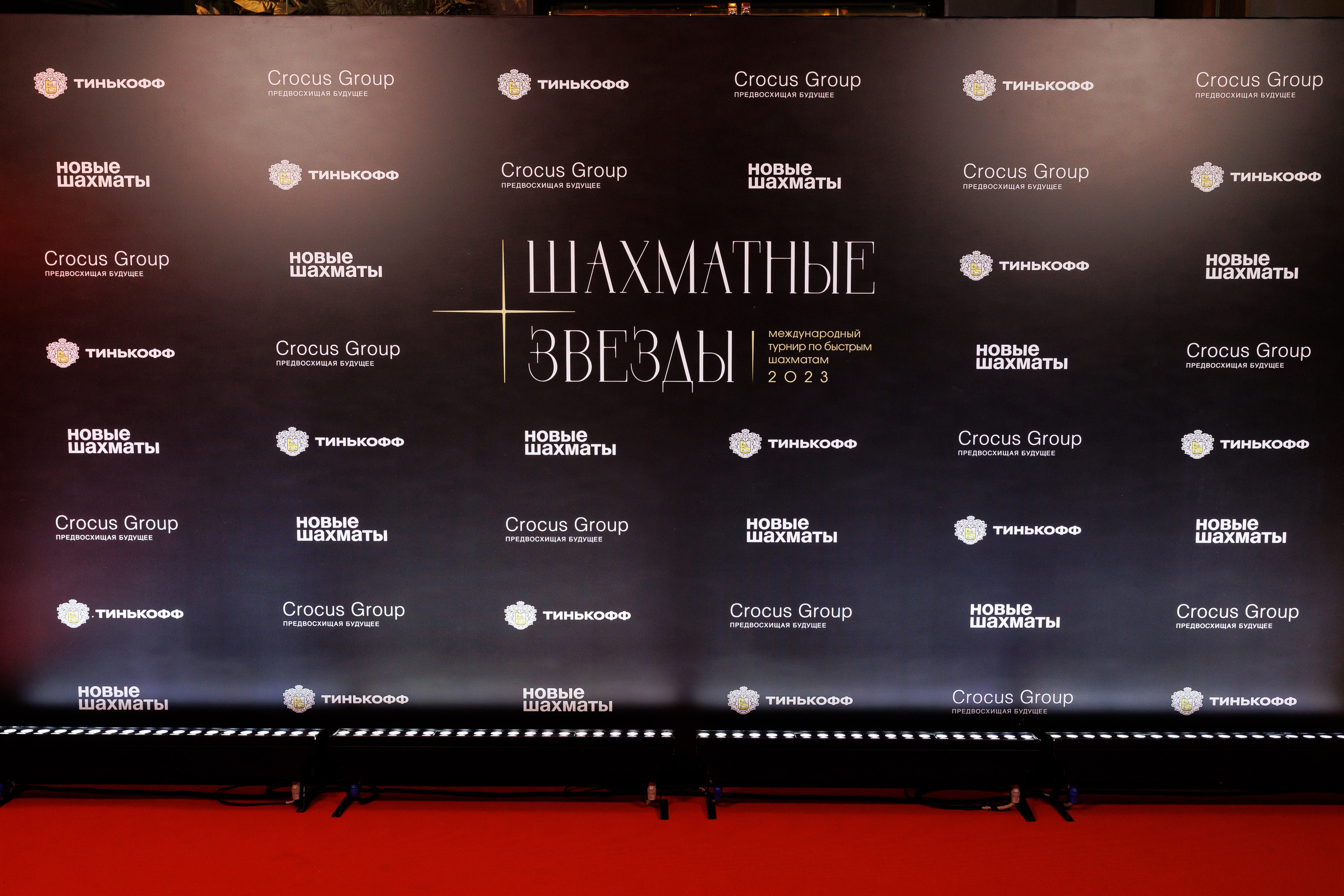 Шахматы. Светский фотограф — Анисина Ирина