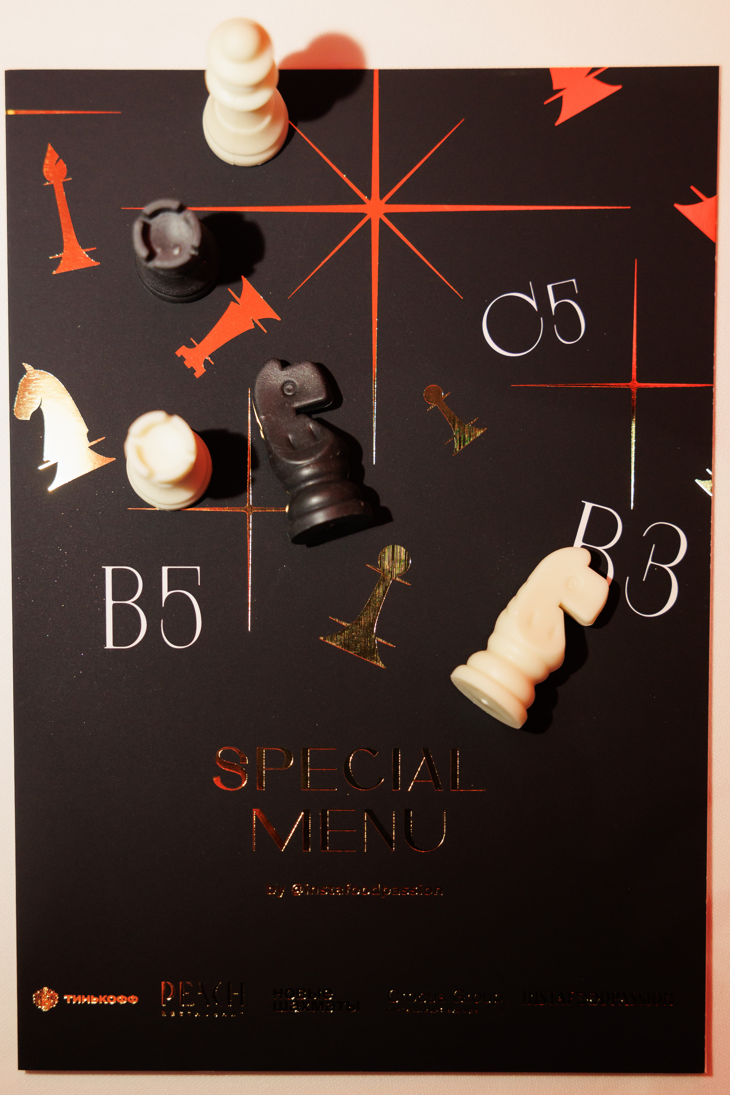 Шахматы. Светский фотограф — Анисина Ирина