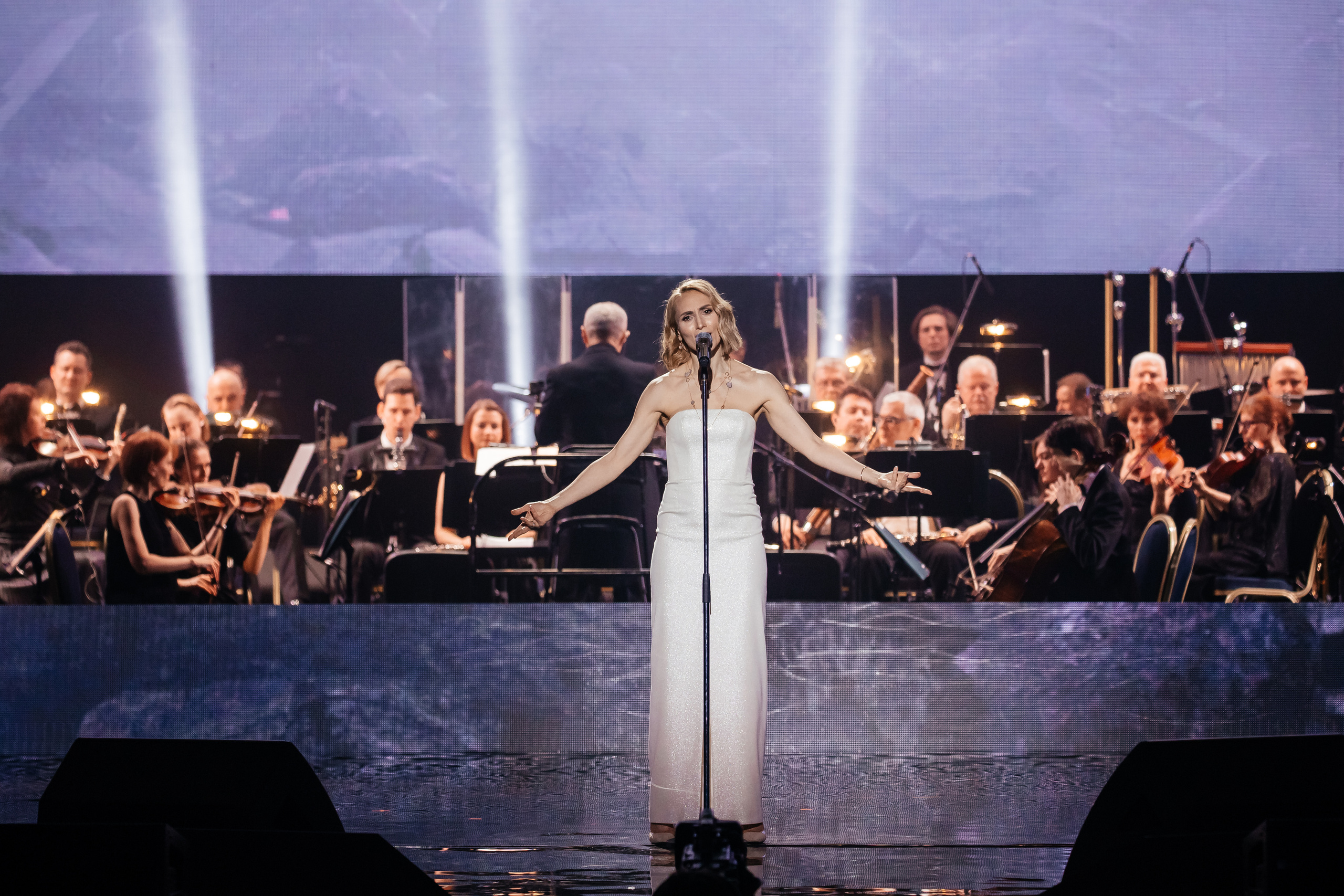 Ты мой Герой. Светский фотограф — Анисина Ирина