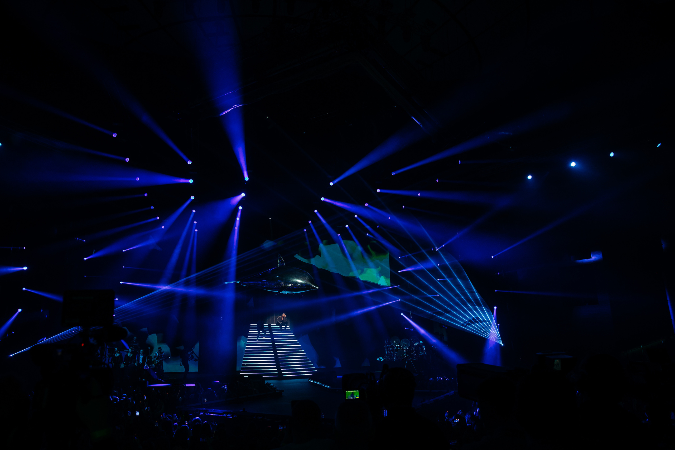 Дима Билан. Светский фотограф — Анисина Ирина