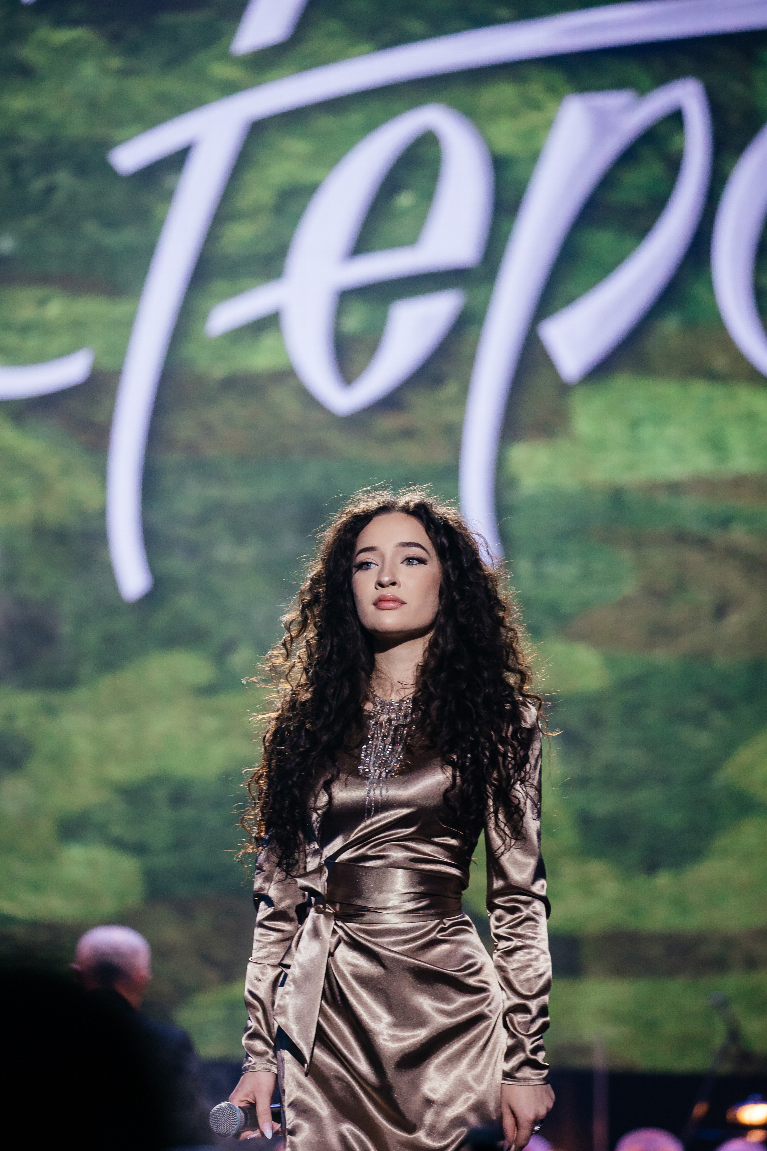 Ты мой Герой. Светский фотограф — Анисина Ирина