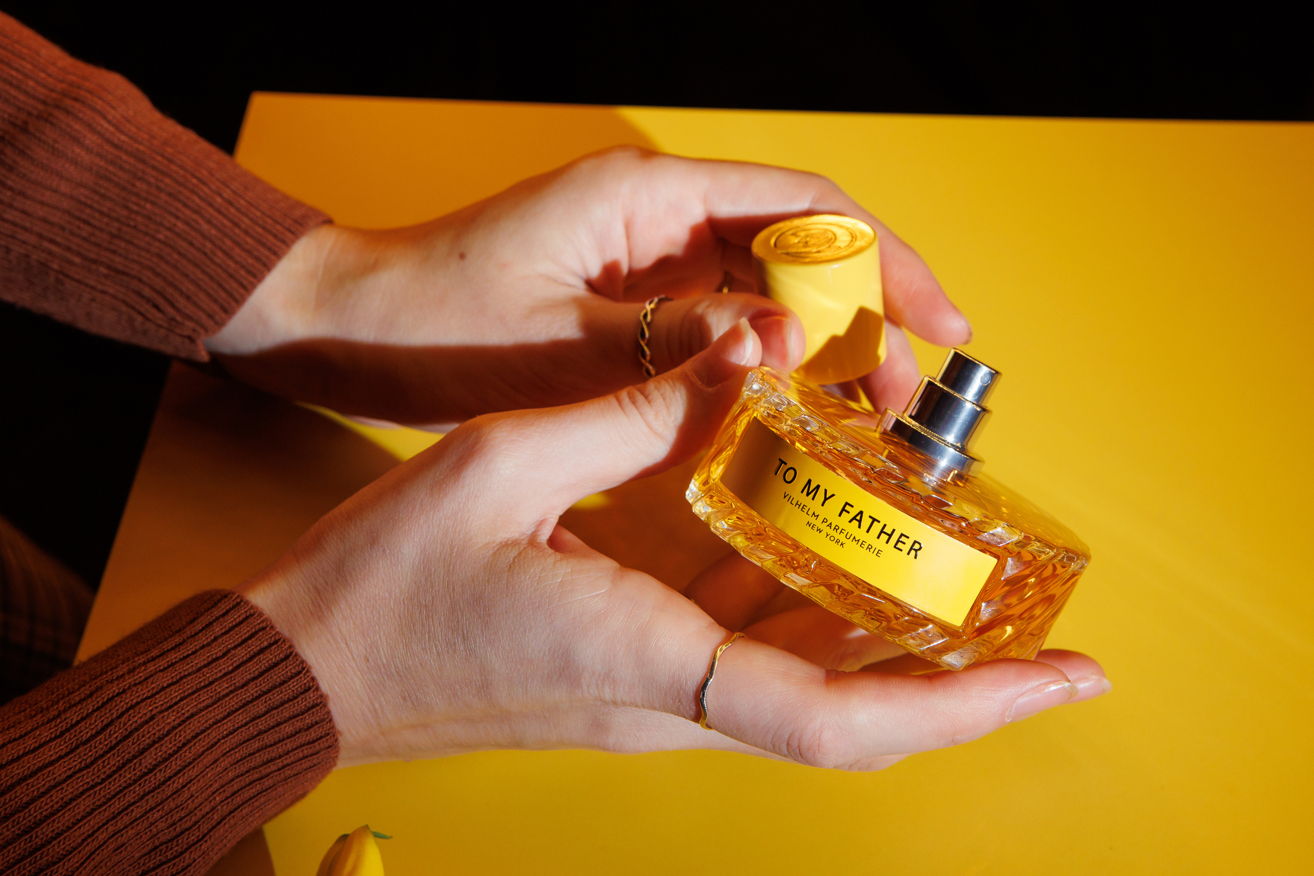 TO MY FATHER. Светский фотограф — Анисина Ирина