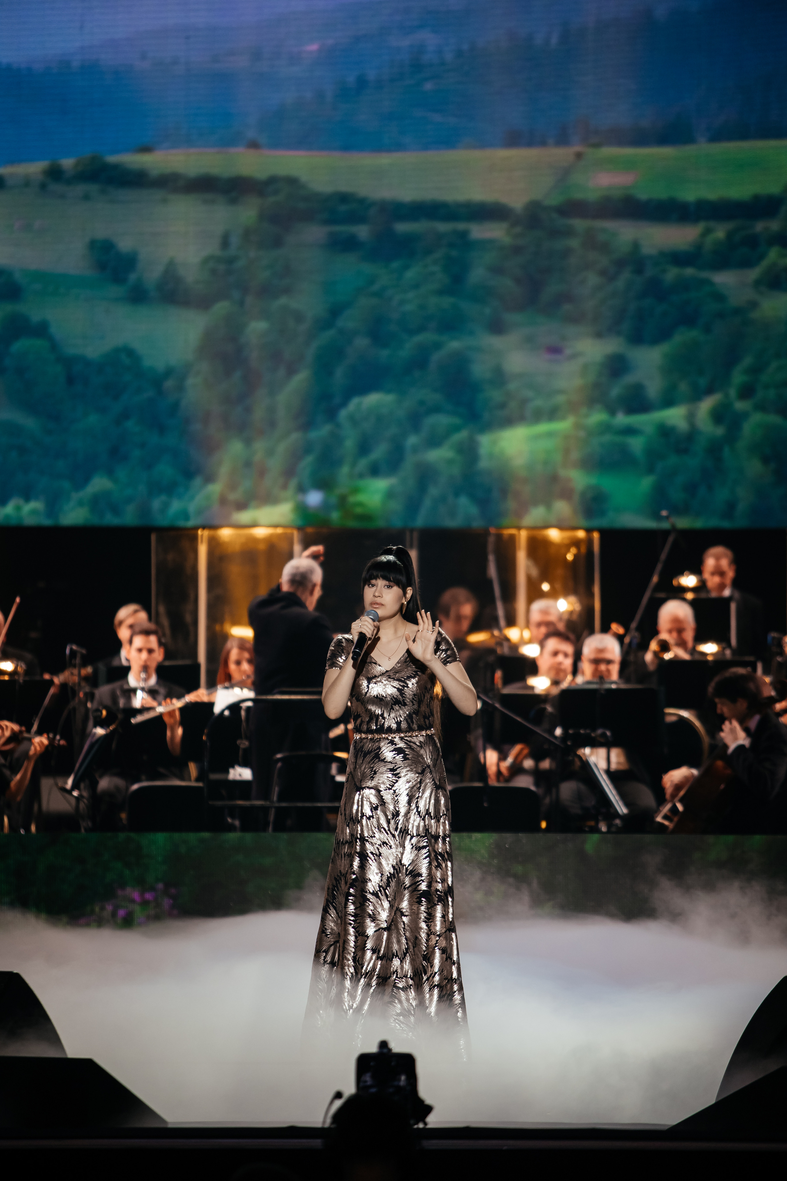 Ты мой Герой. Светский фотограф — Анисина Ирина