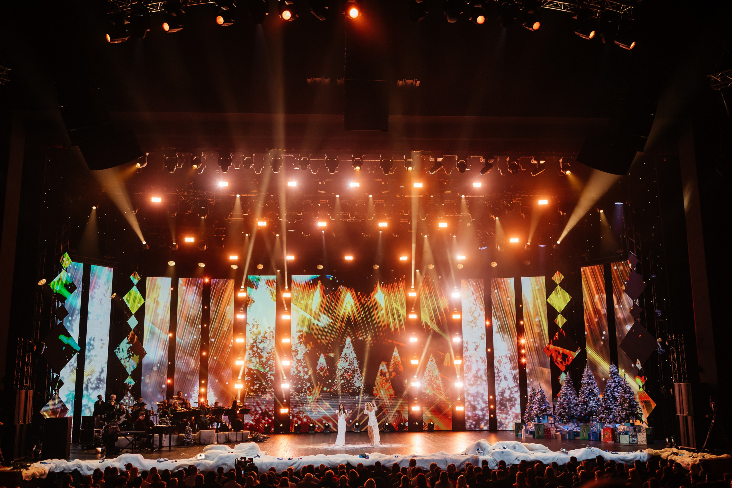 Наш Новый Год. Светский фотограф — Анисина Ирина