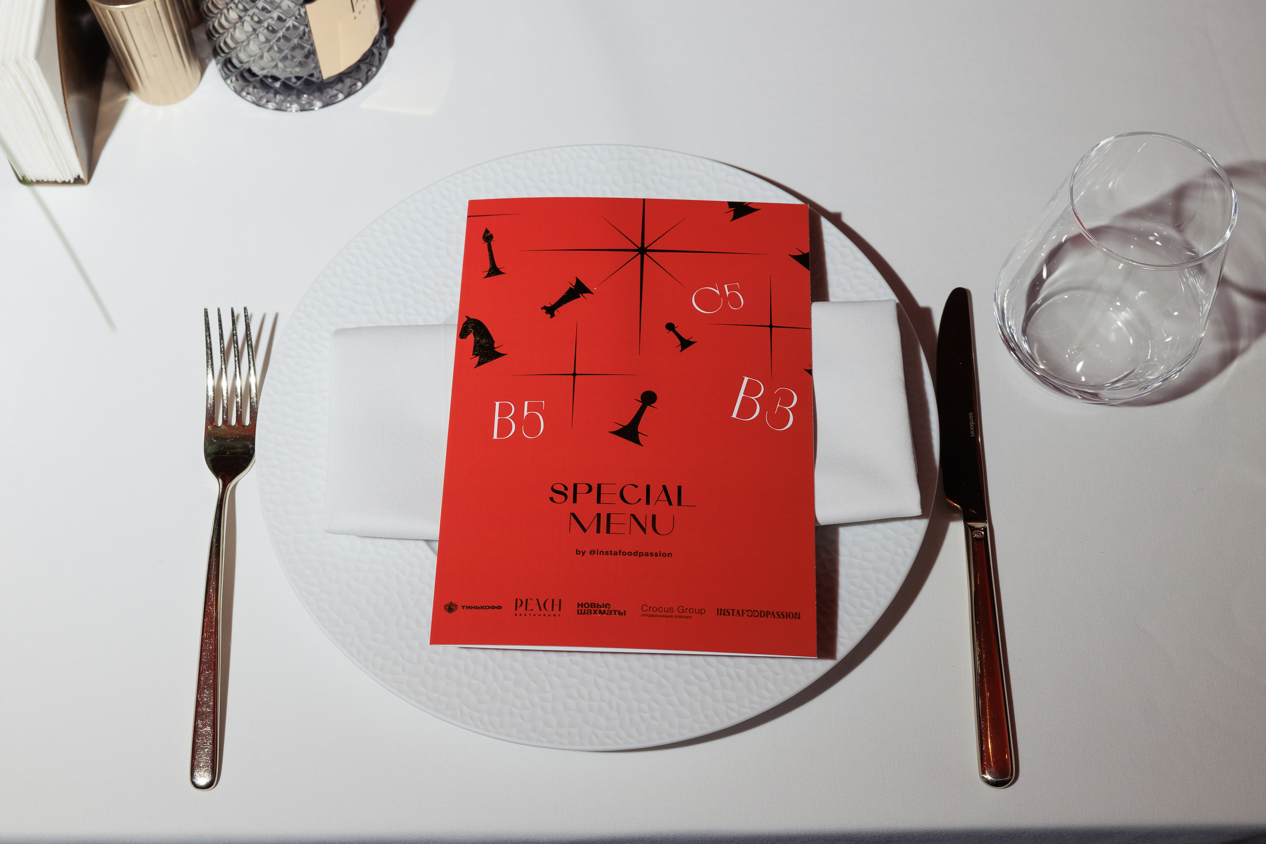 Шахматы. Светский фотограф — Анисина Ирина